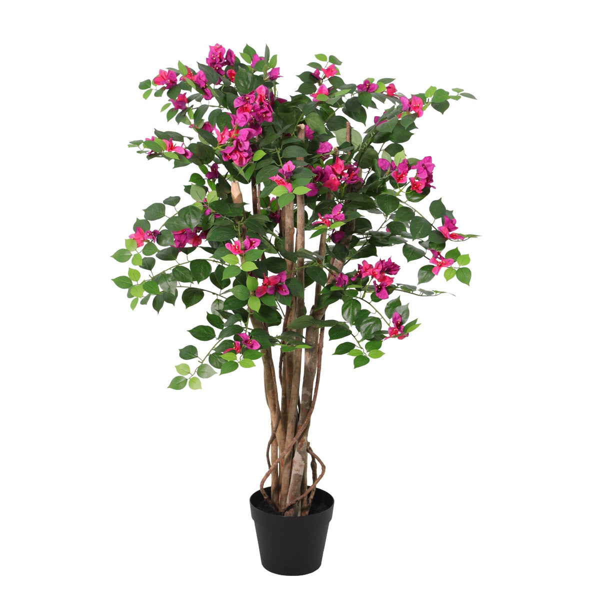 ARTIFICIAL Bougainville