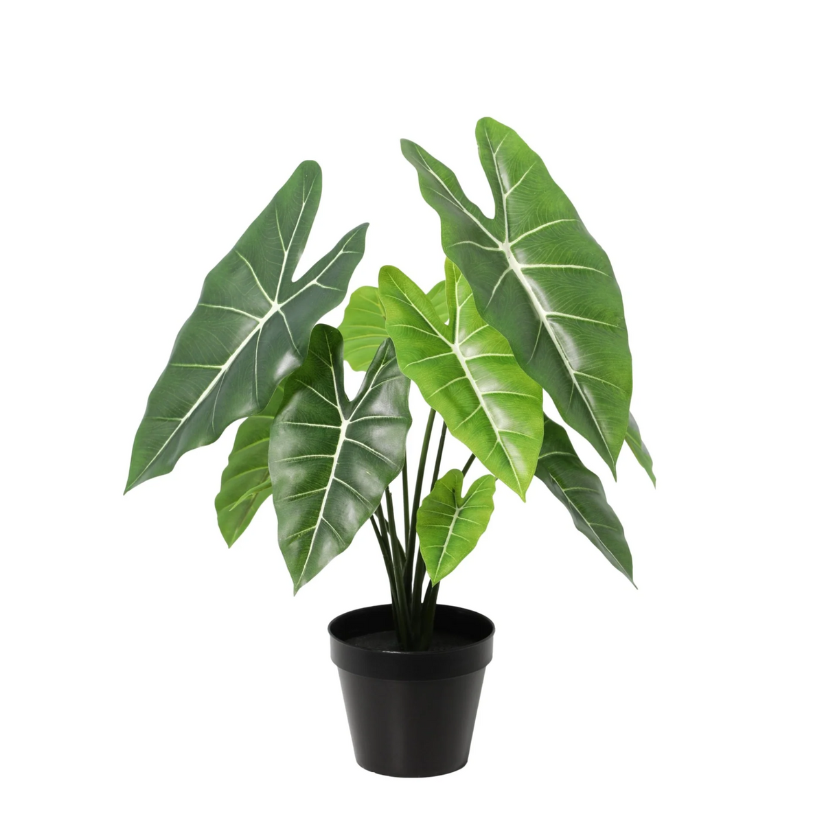 ARTIFICIAL Alocasia Polly