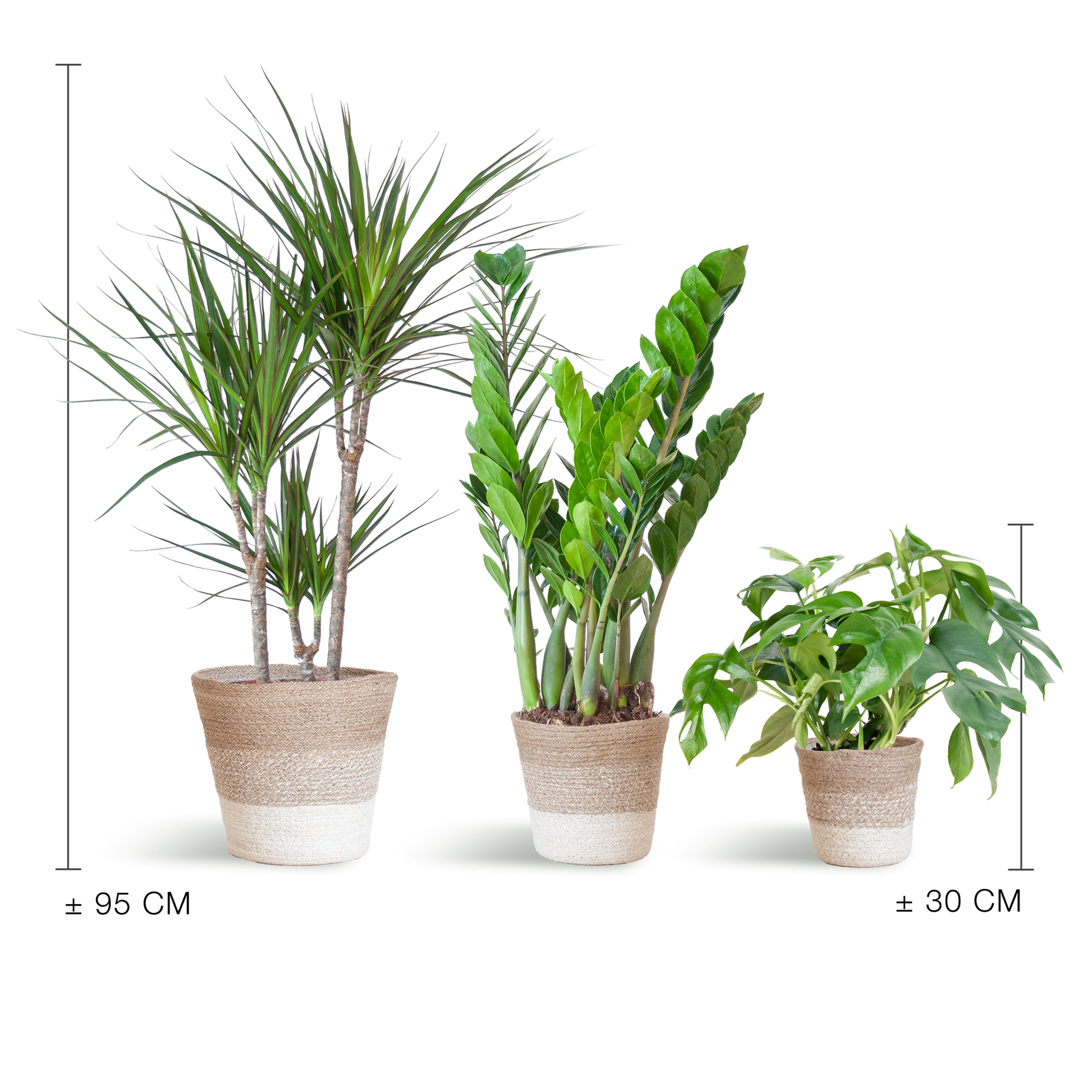 Shade Pflanzkasten - medium - mit Korb Lissabon weiß