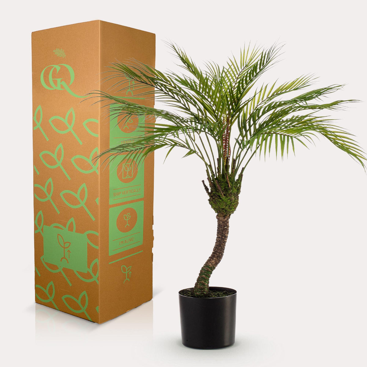 Kunstpflanze - Chamaedorea Elegans- Bergpalme
