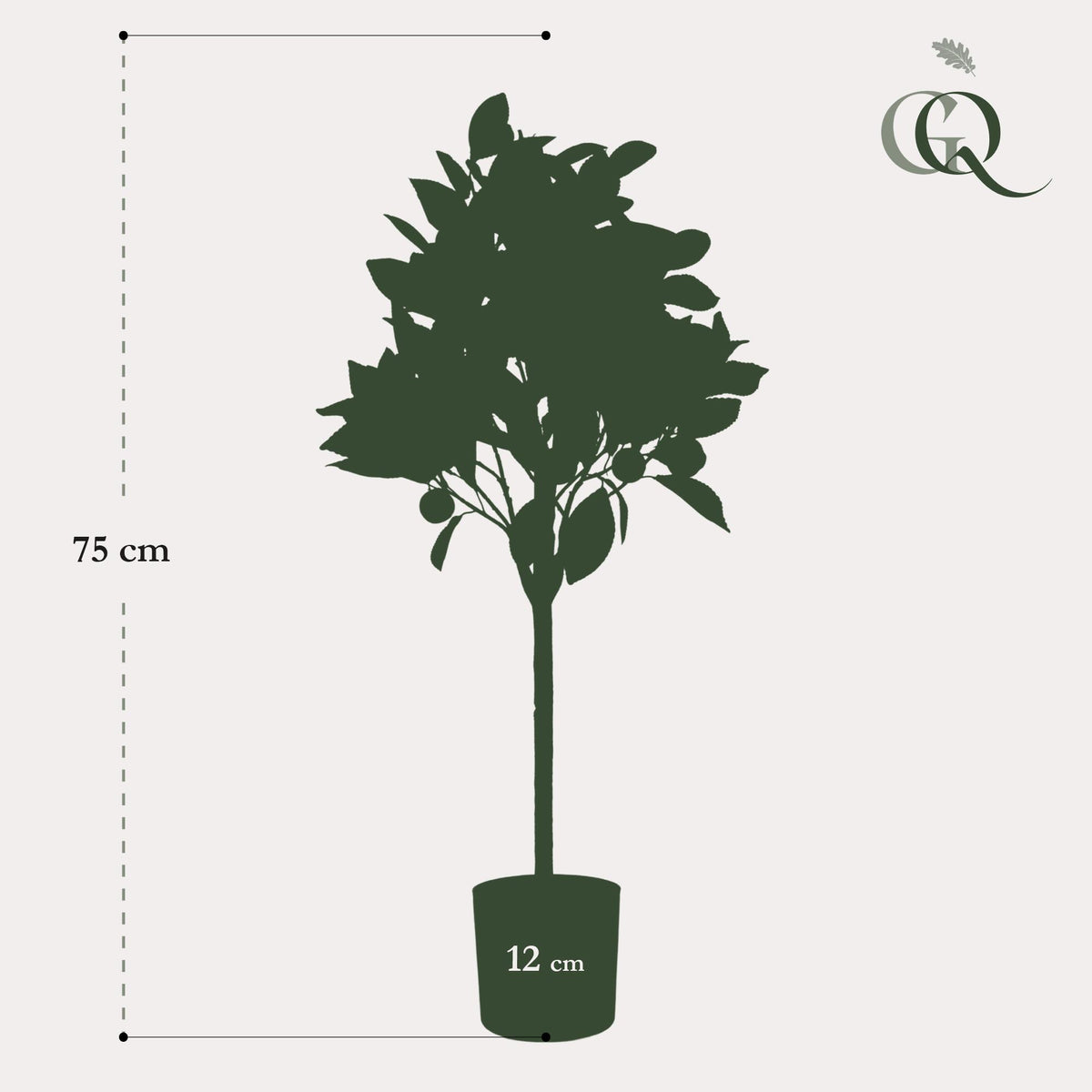 Kunstpflanze - Citrus sinensis - Orangenbaum