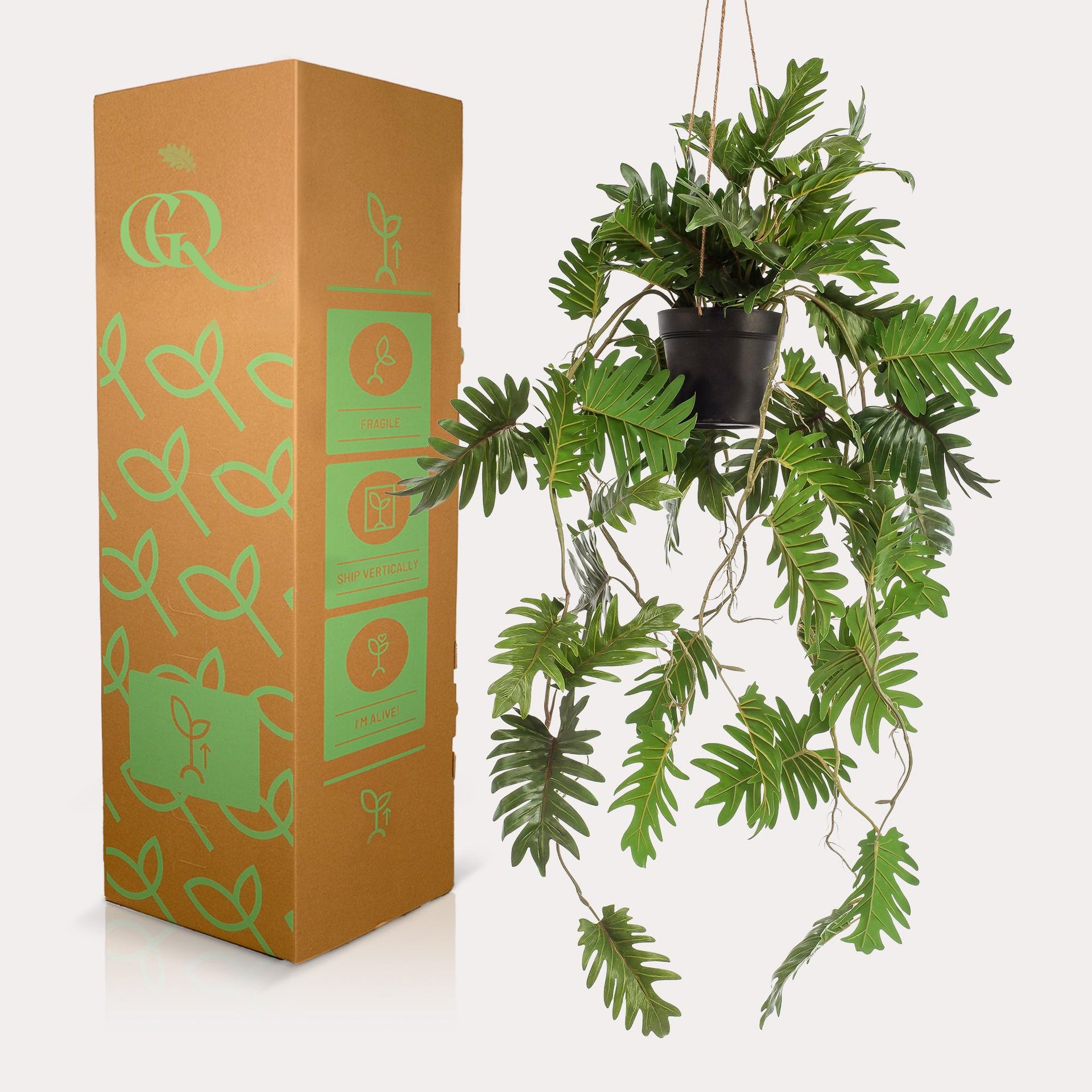 Kunstpflanze – Philodendron – 80 cm