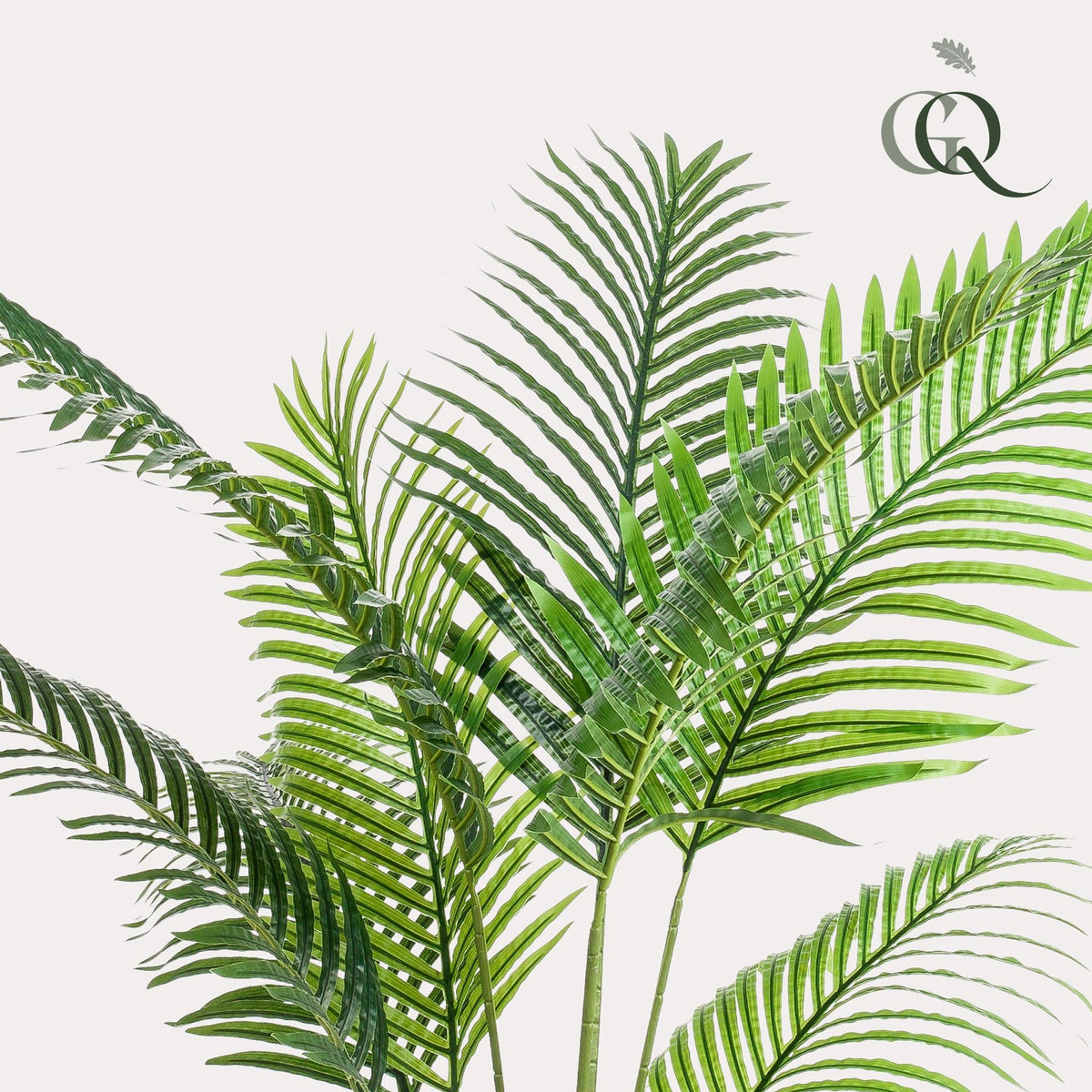 Kunstpflanze - Howea Forsteriana