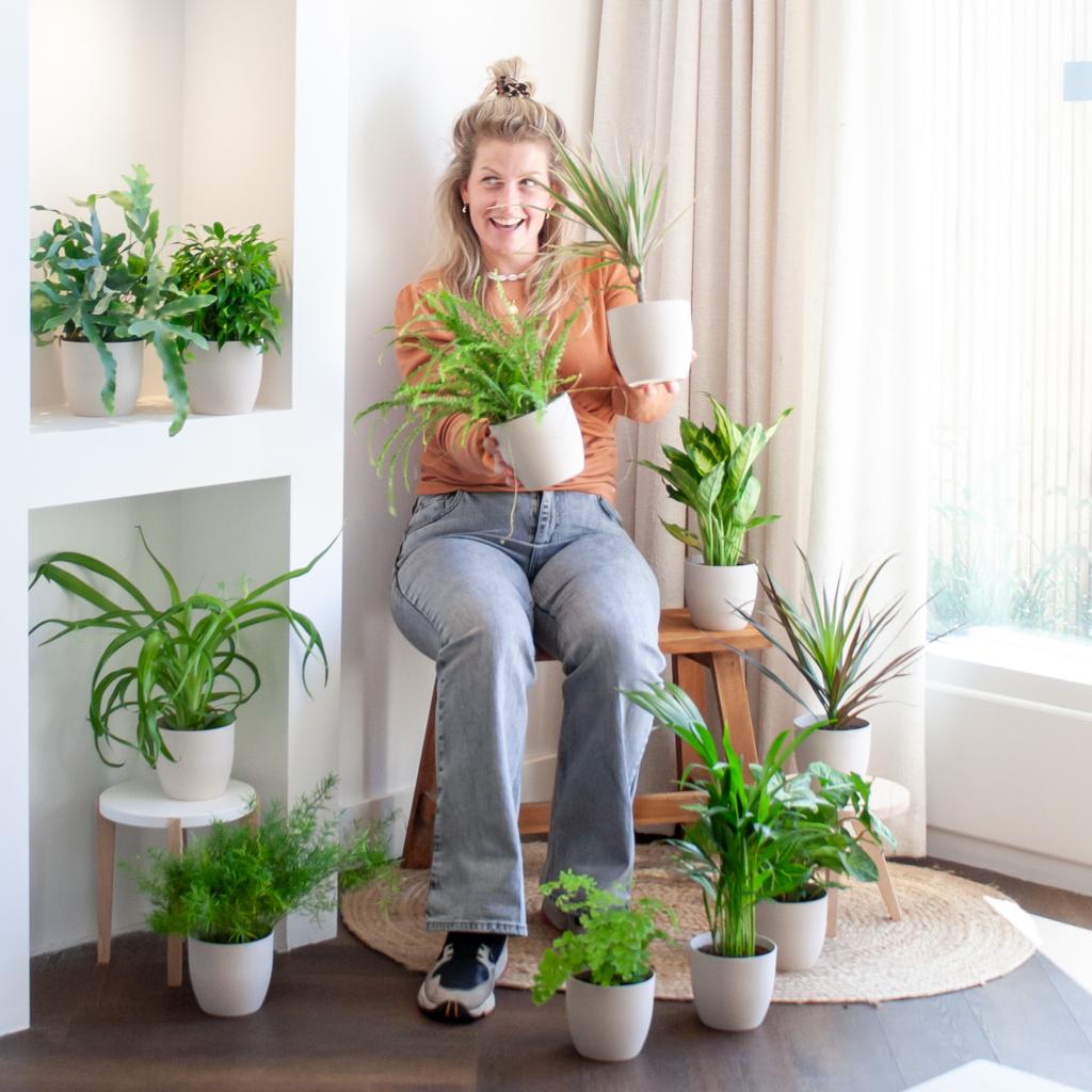 Green Misfitbox: Zimmerpflanzen 12er Set - inkl. 12 x Topf Viber weiß