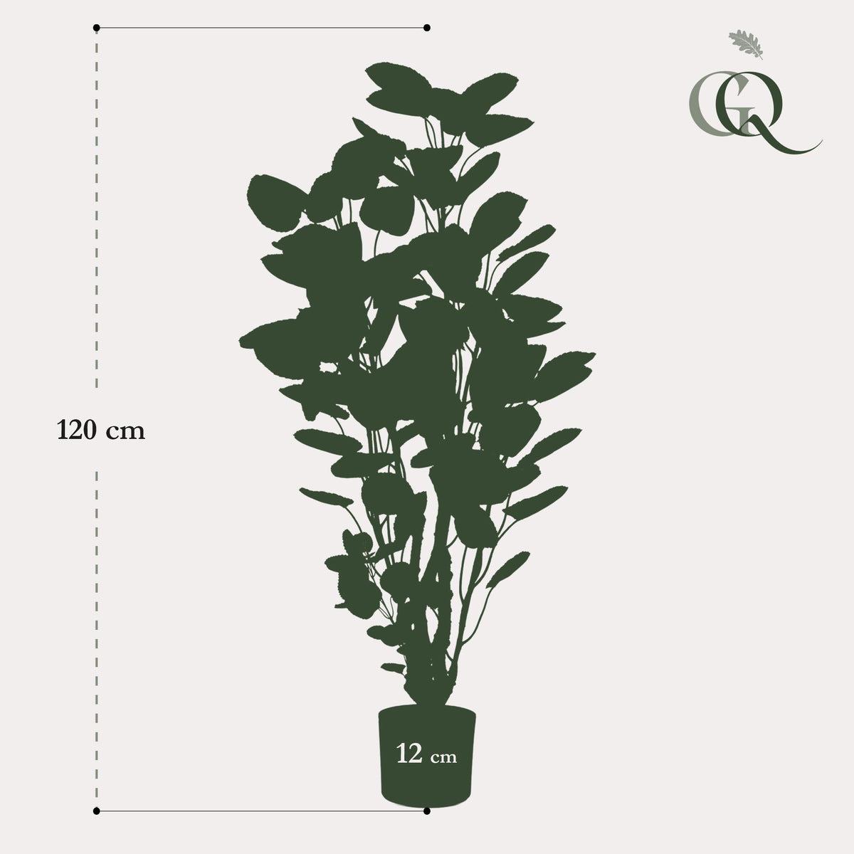 Kunstpflanze - Polyscias - Aralia