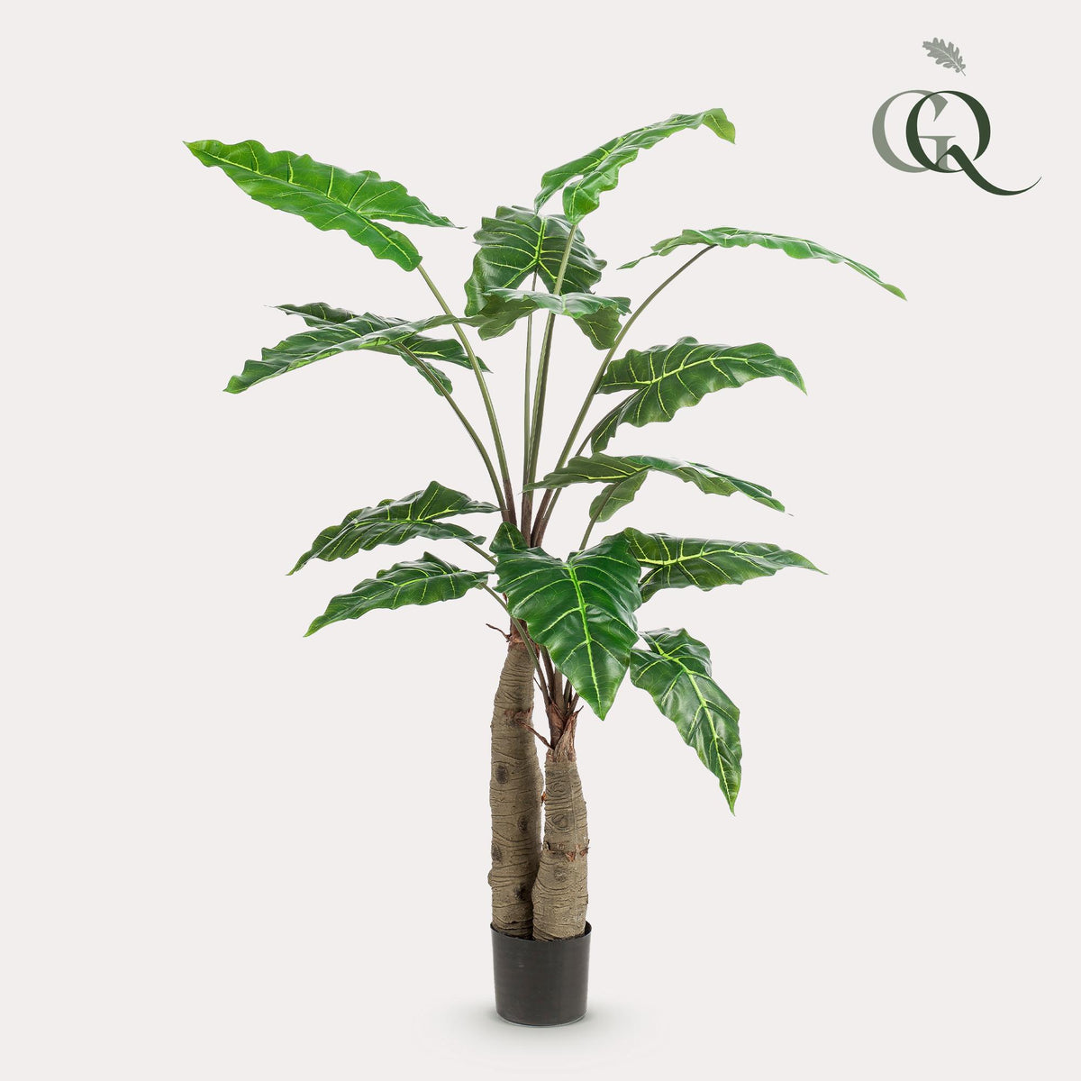 Kunstpflanze - Alocasia