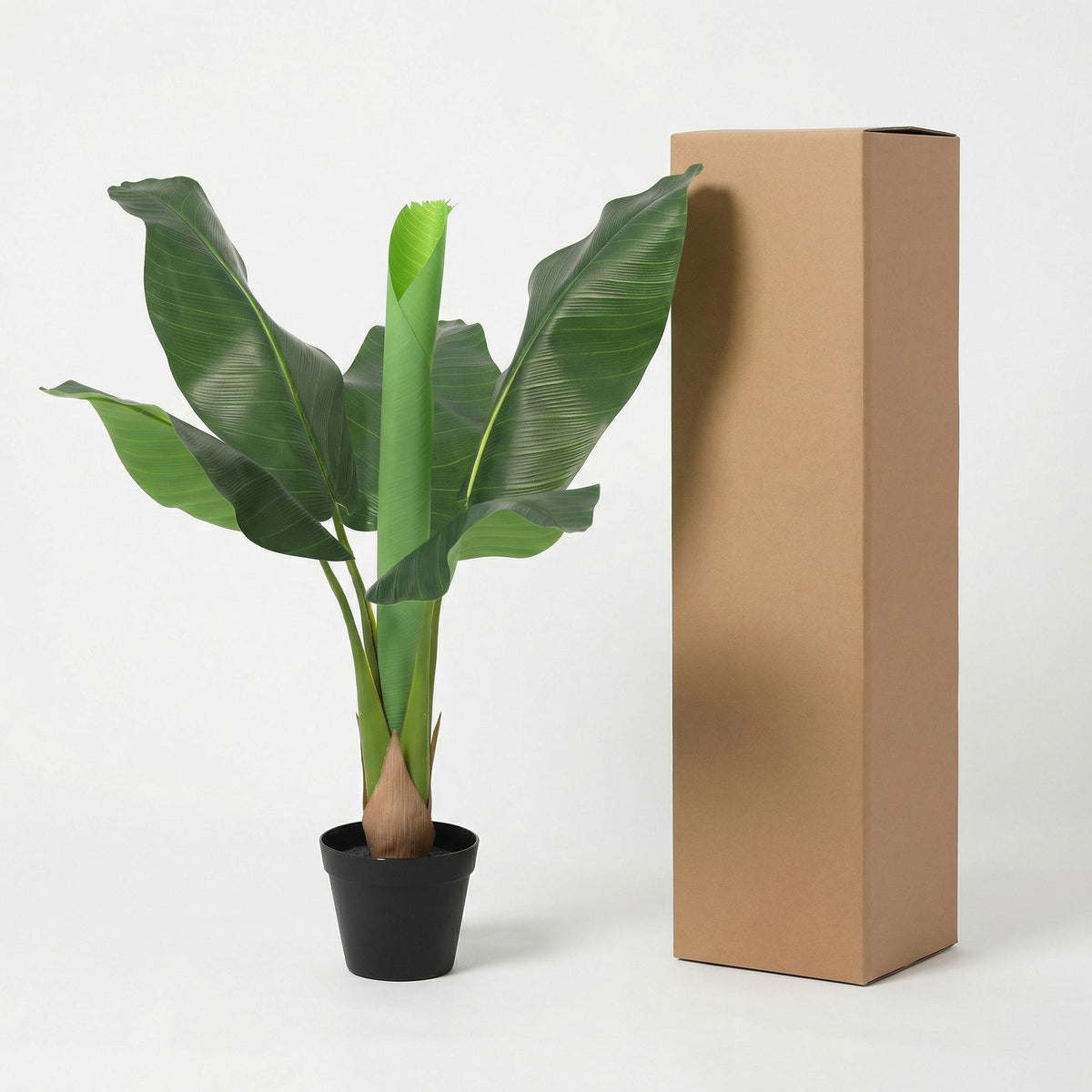 ARTIFICIAL Banana plant Musa