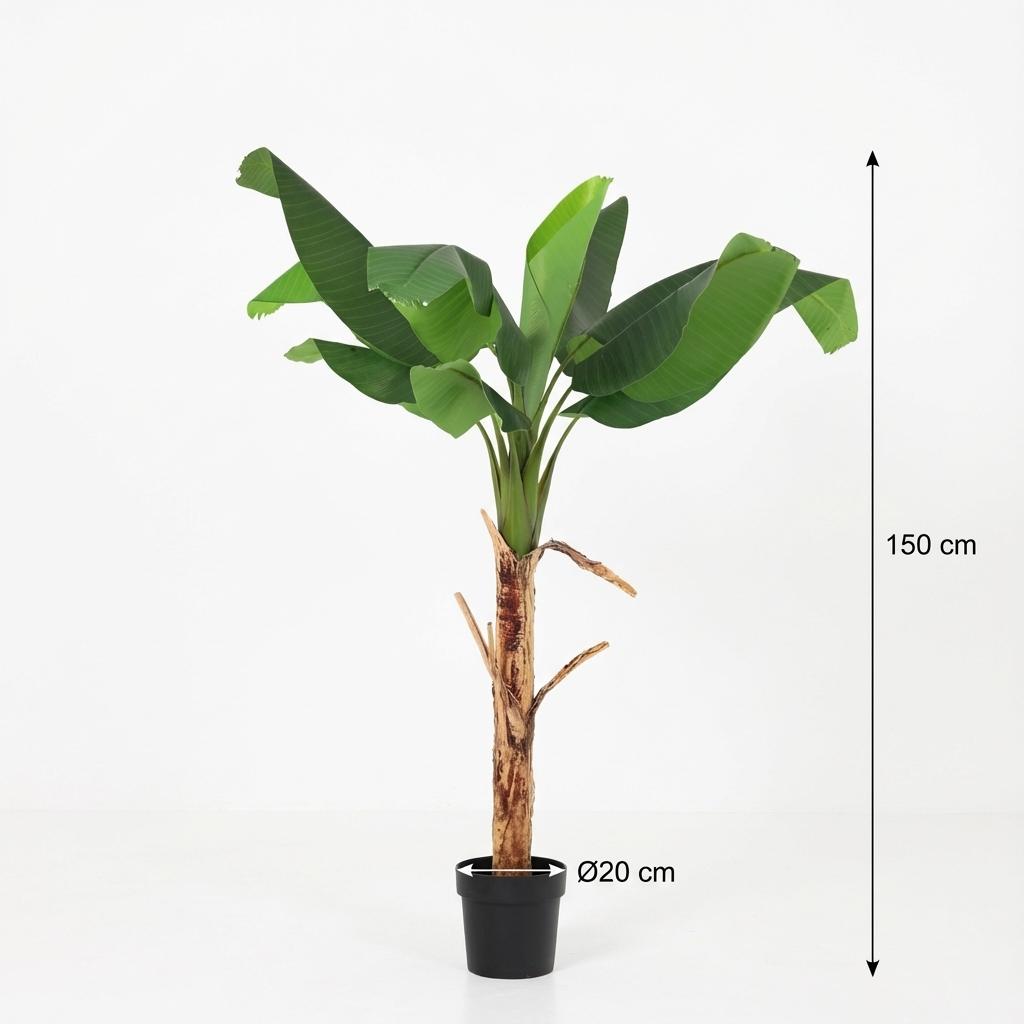ARTIFICIAL Banana plant Musa