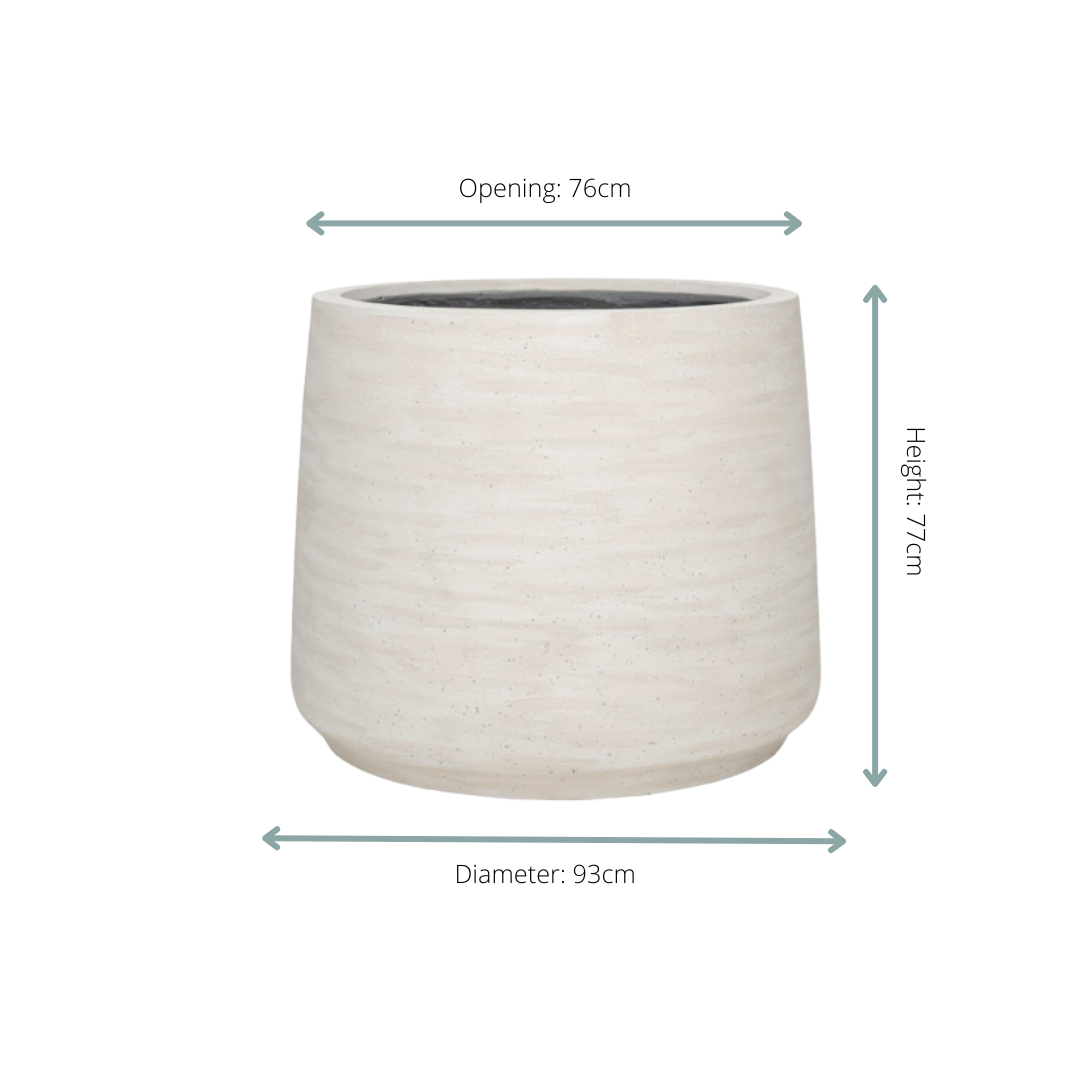 Jumbo Patt Ivory Washed - D93xH77
