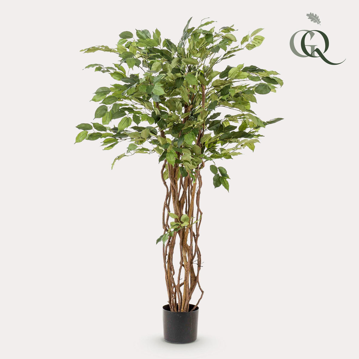 kunstplant - Ficus liana  - Vioolbladplant