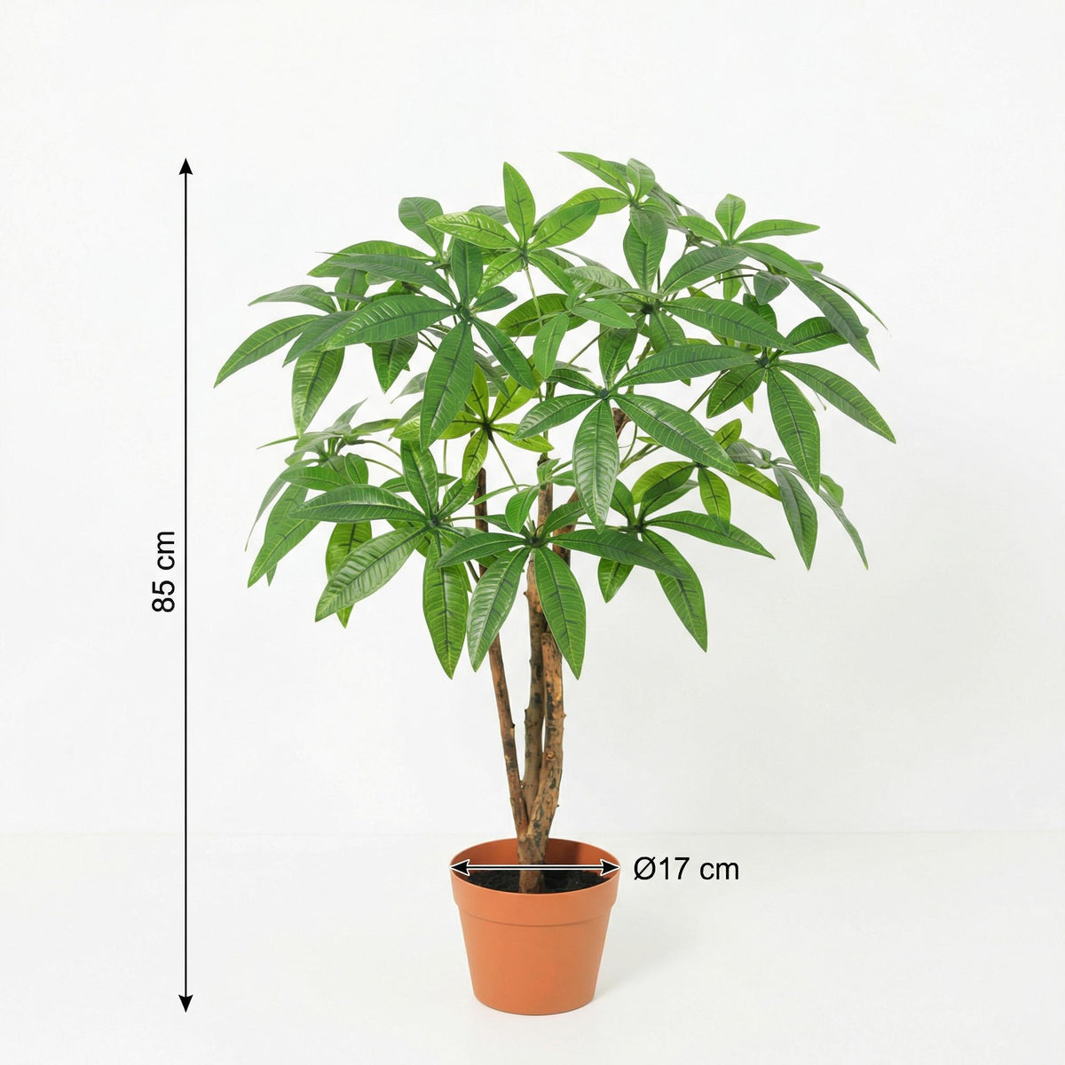 ARTIFICIAL Pachira Aquatica