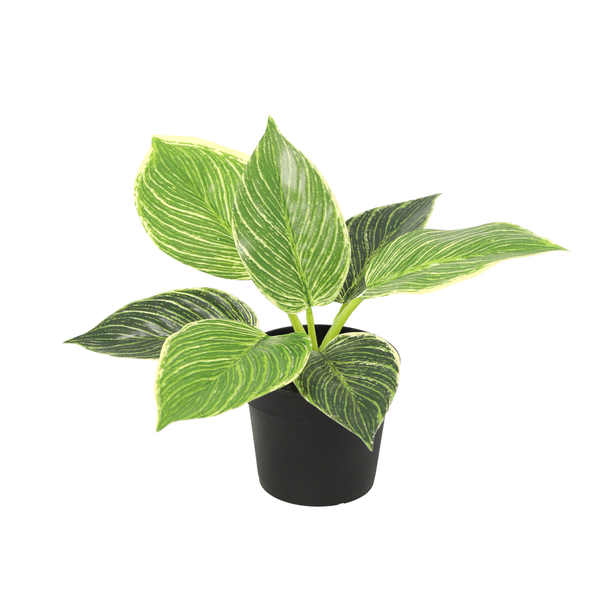 ARTIFICIAL Philodendron birkin