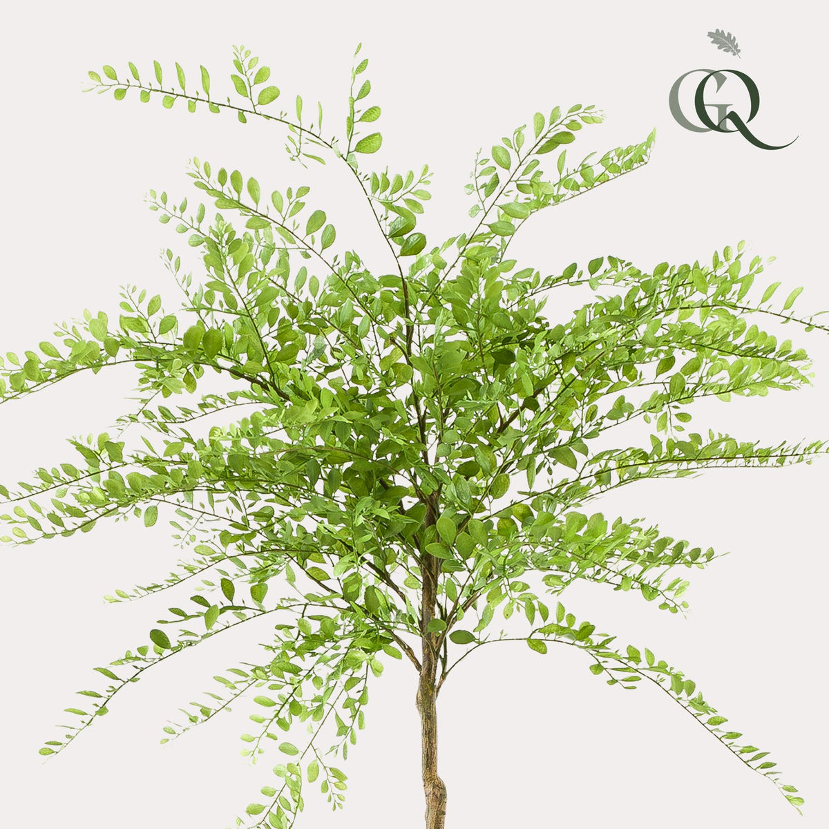 kunstplant - Sophora tree  - Honingboom