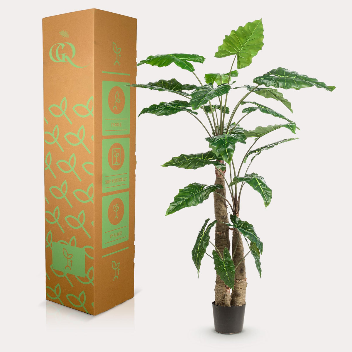Kunstpflanze - Alocasia