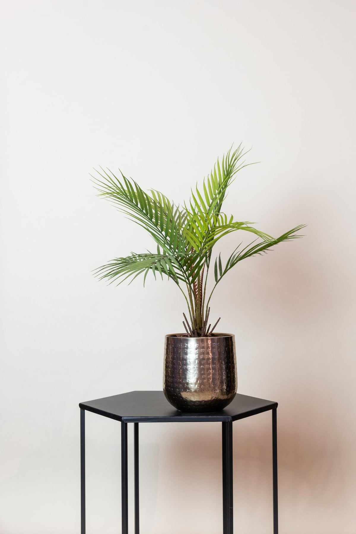 Kunstpflanze - Chamaedorea Elegans- Bergpalme