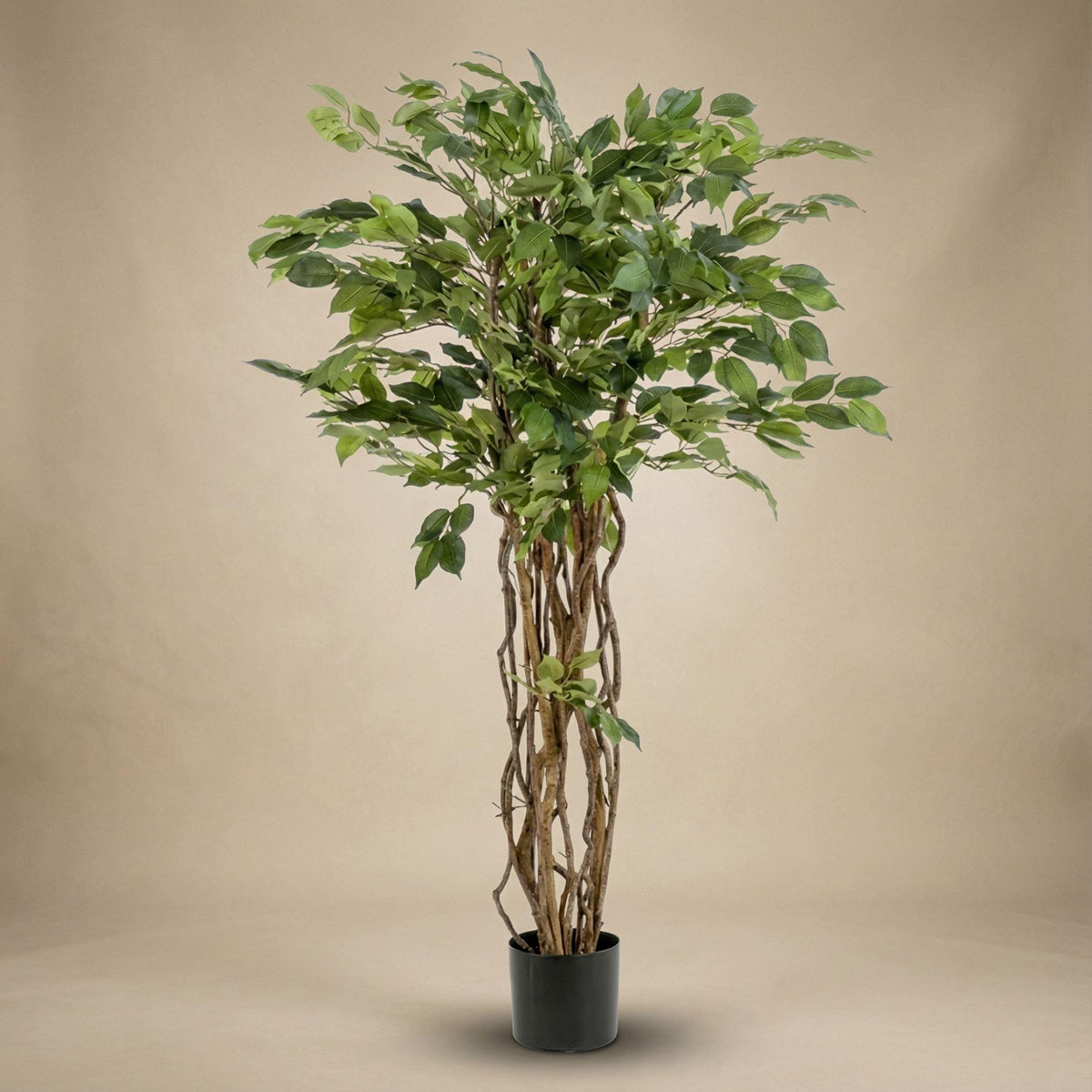 Ficus Liana Kunstbaum 140cm - Künstliche Pflanze