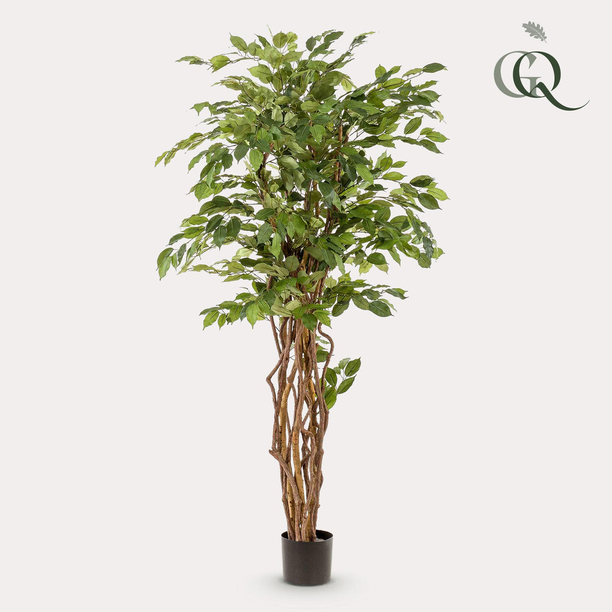 kunstplant - Ficus liana  - Vioolbladplant