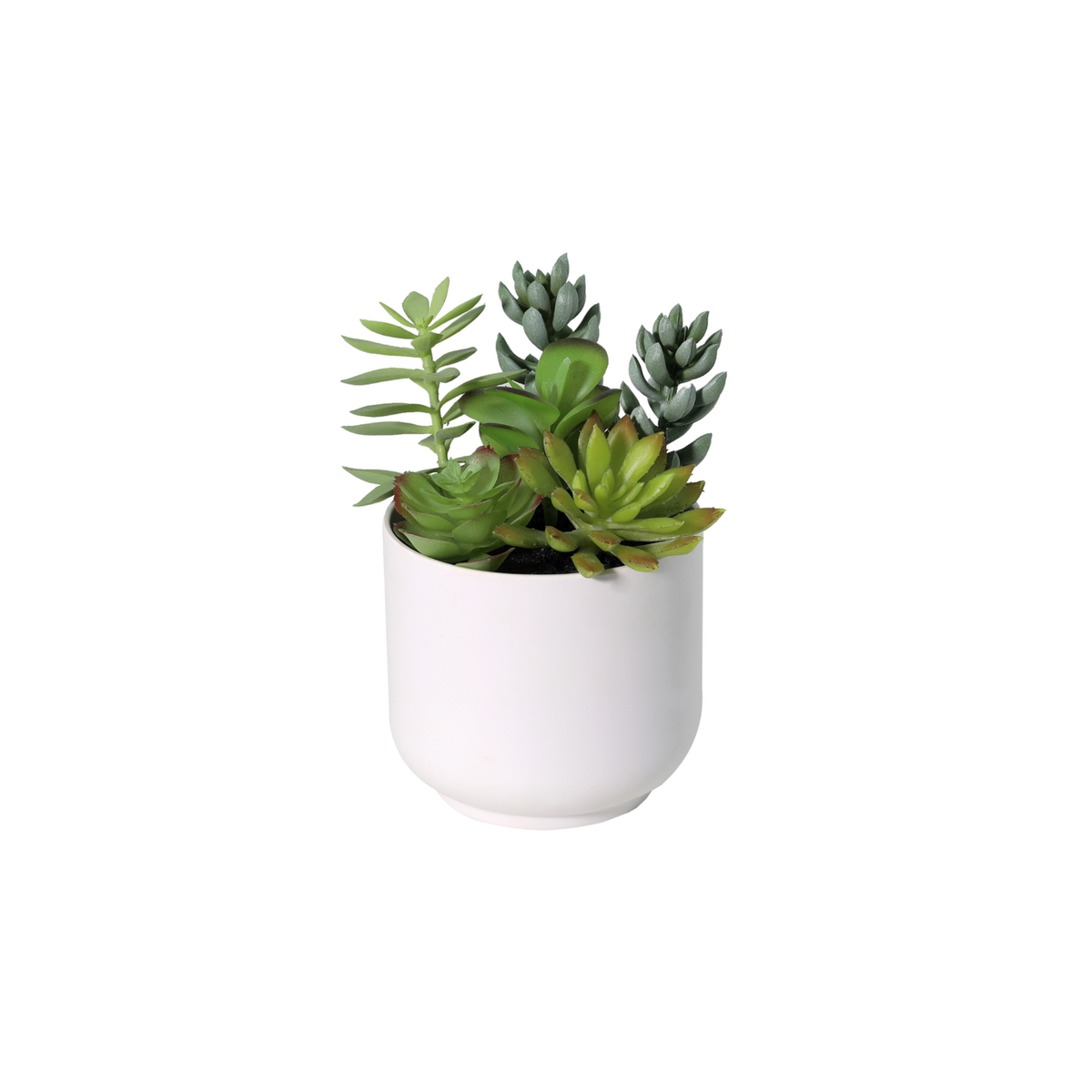 ARTIFICIAL Succelent including white pot