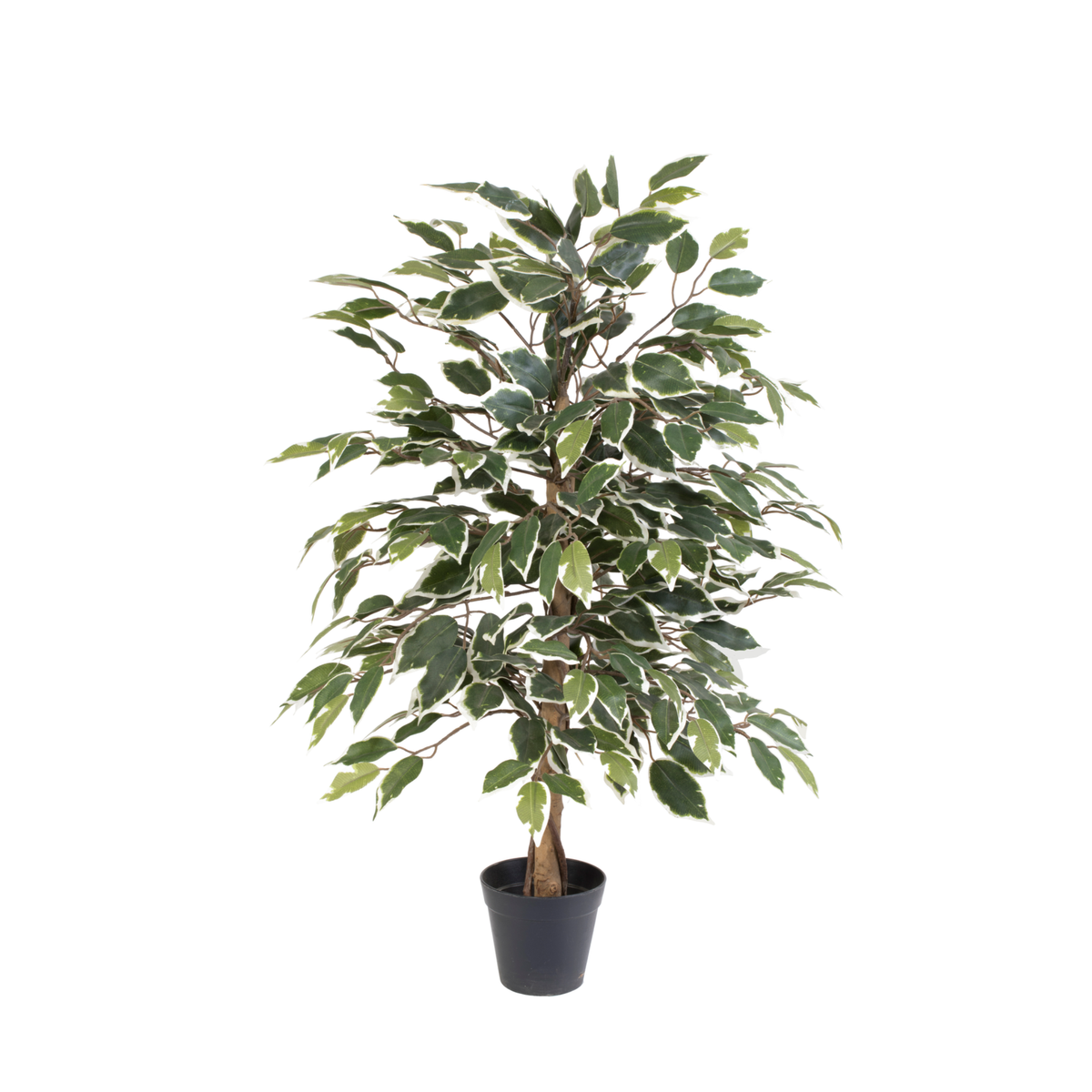 ARTIFICIAL Ficus benjamina variegata
