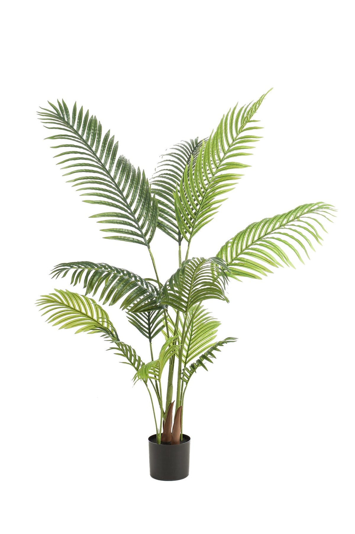 Kunstpflanze - Howea Forsteriana
