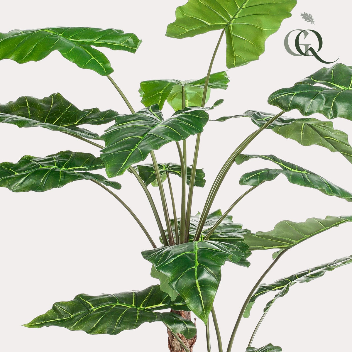 Kunstpflanze - Alocasia