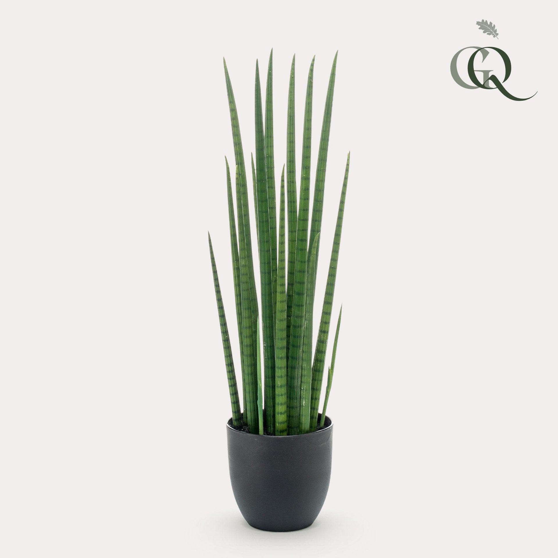 Kunstpflanze – Sansevieria Cylindrica – Bogenhanf – 70 cm