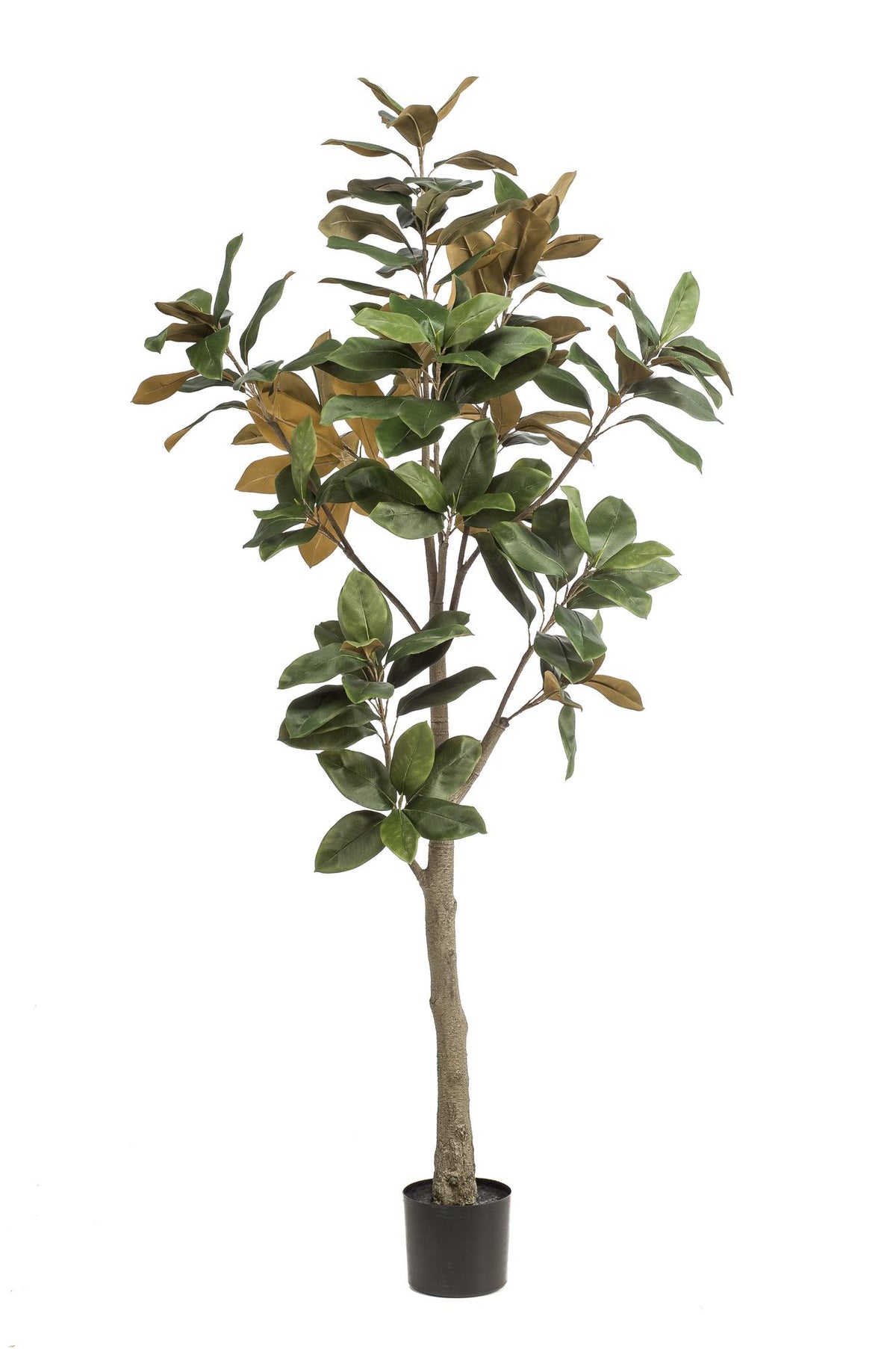 Kunstpflanze - Magnolia Grandiflora