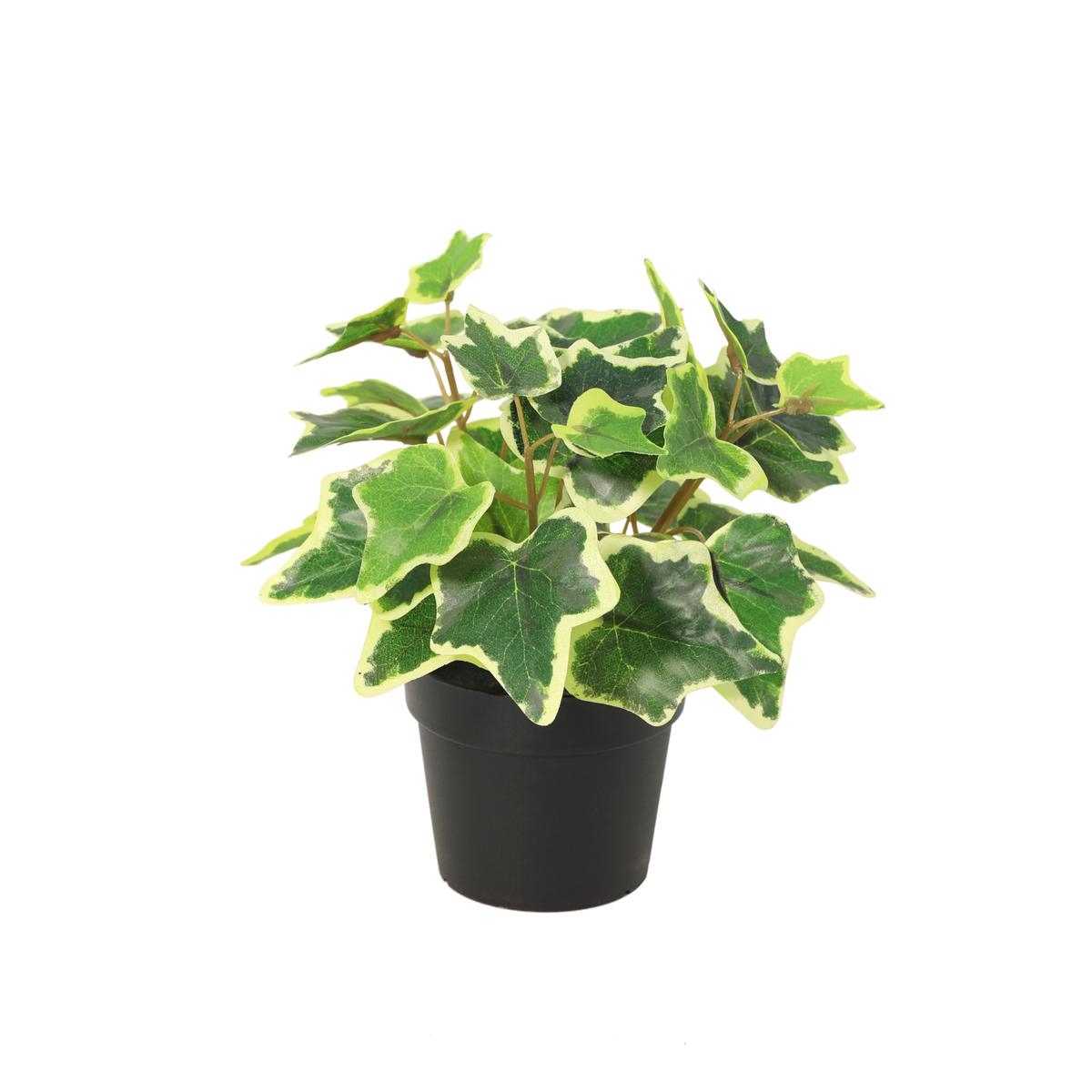 ARTIFICIAL White Ivy