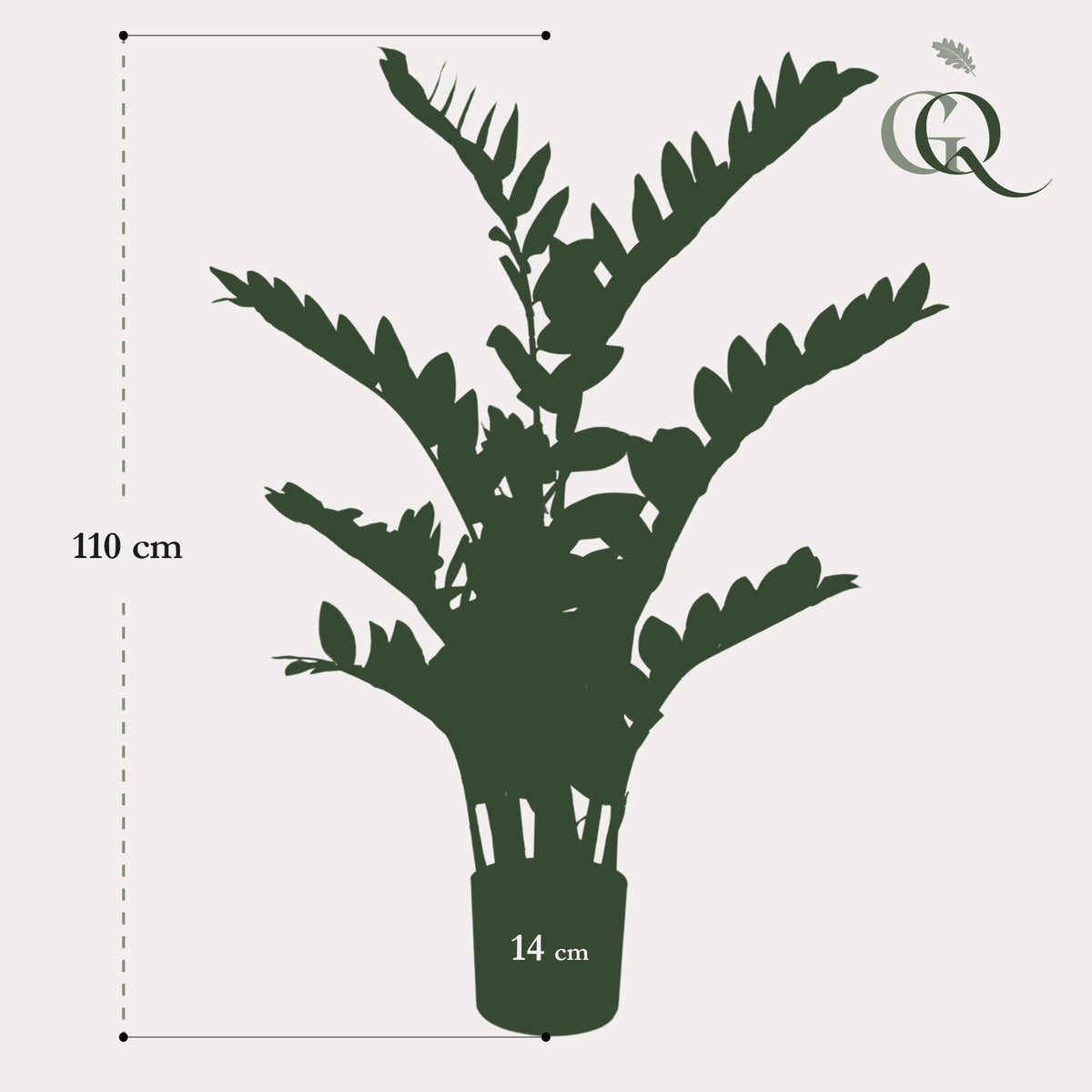 Kunstpflanze - Zamioculcas - Zimmerpalme