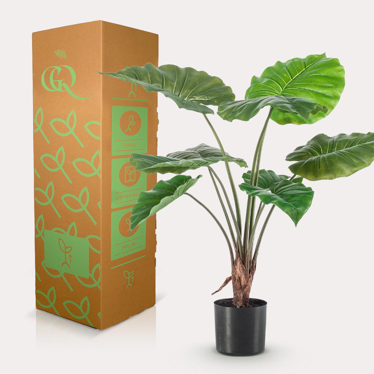 Kunstpflanze - Alocasia