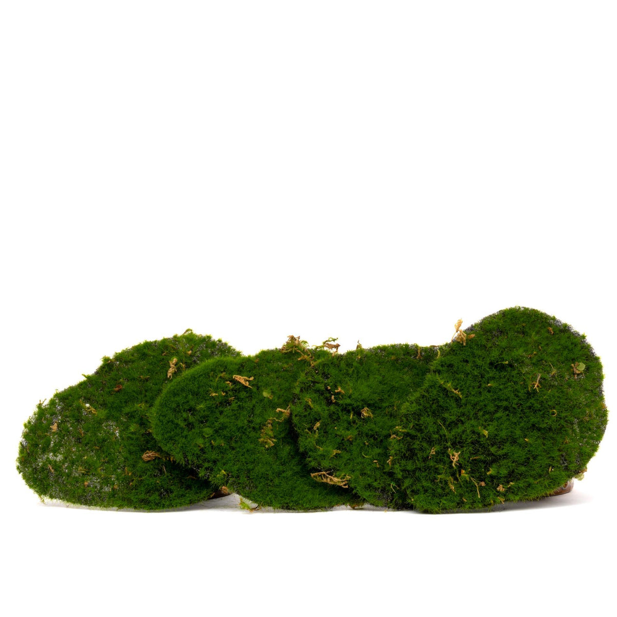 Mosplaat - Groen mos - Set van 4 - Kunstmos - ARTIFICIAL
