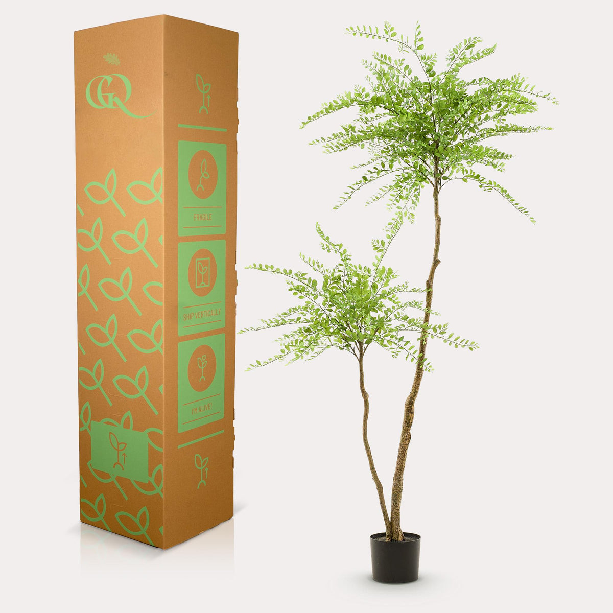 kunstplant - Sophora tree  - Honingboom