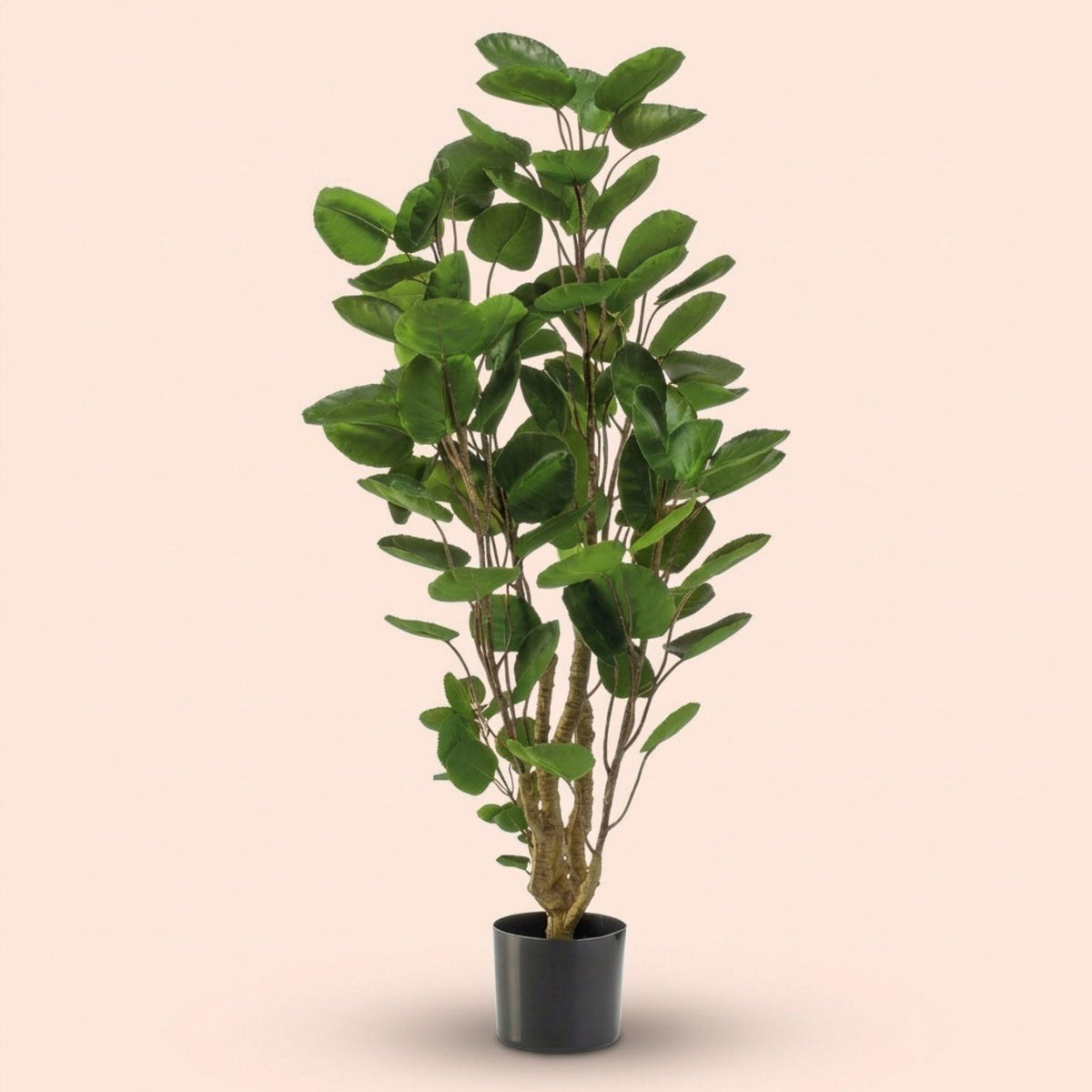 Polysciasbaum - 105 cm - Kunstpflanze