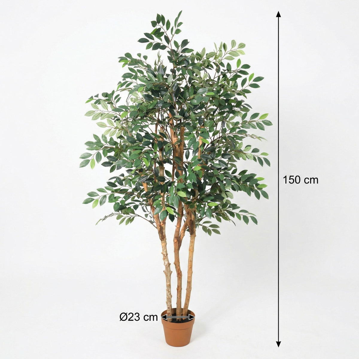 ARTIFICIAL Ficus Exotica