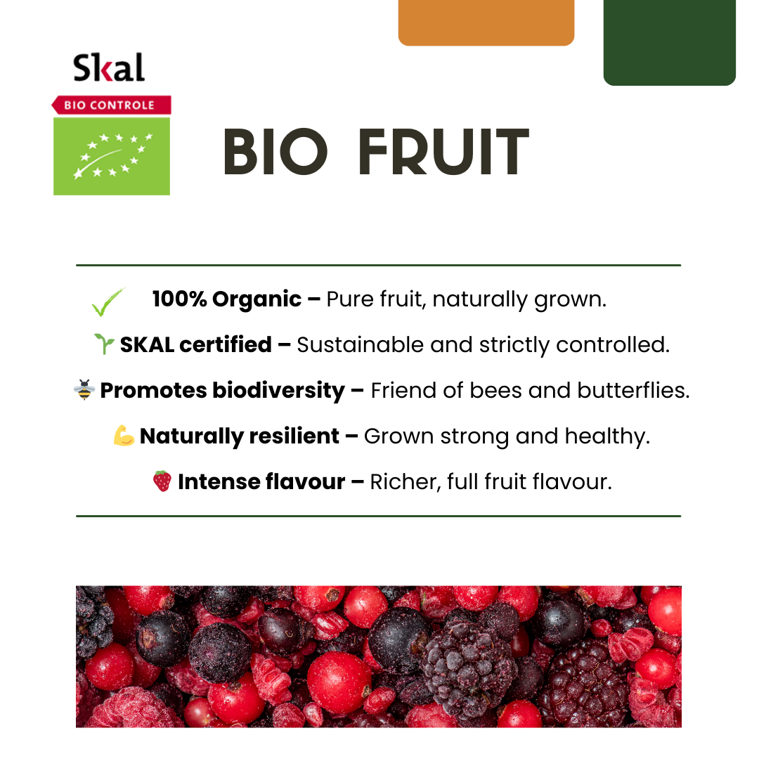 6 selbstbestäubende Bio-Kiwipflanzen (Actinidia deliciosa)