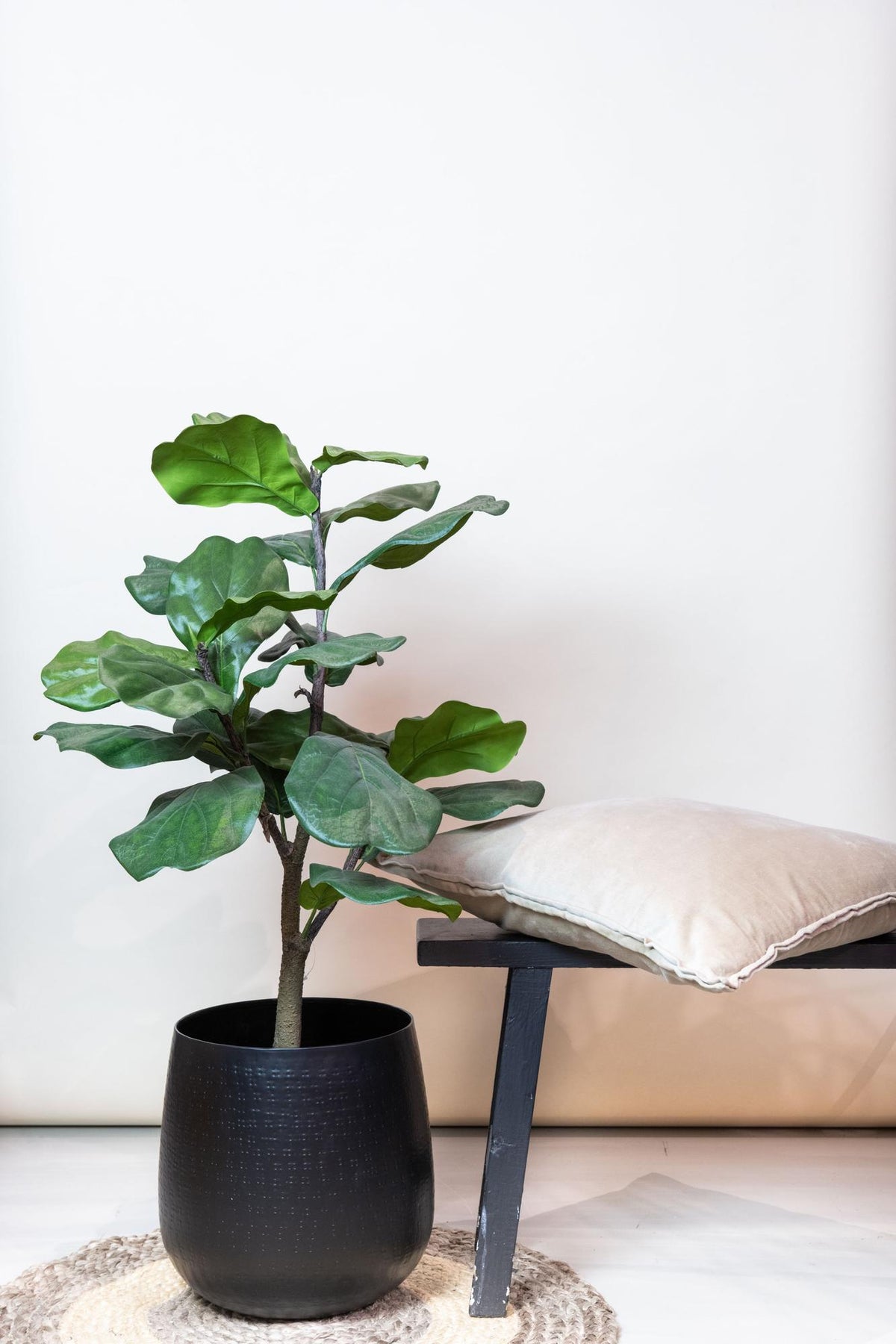 Kunstpflanze - Ficus Lyrata - Tabakspflanze