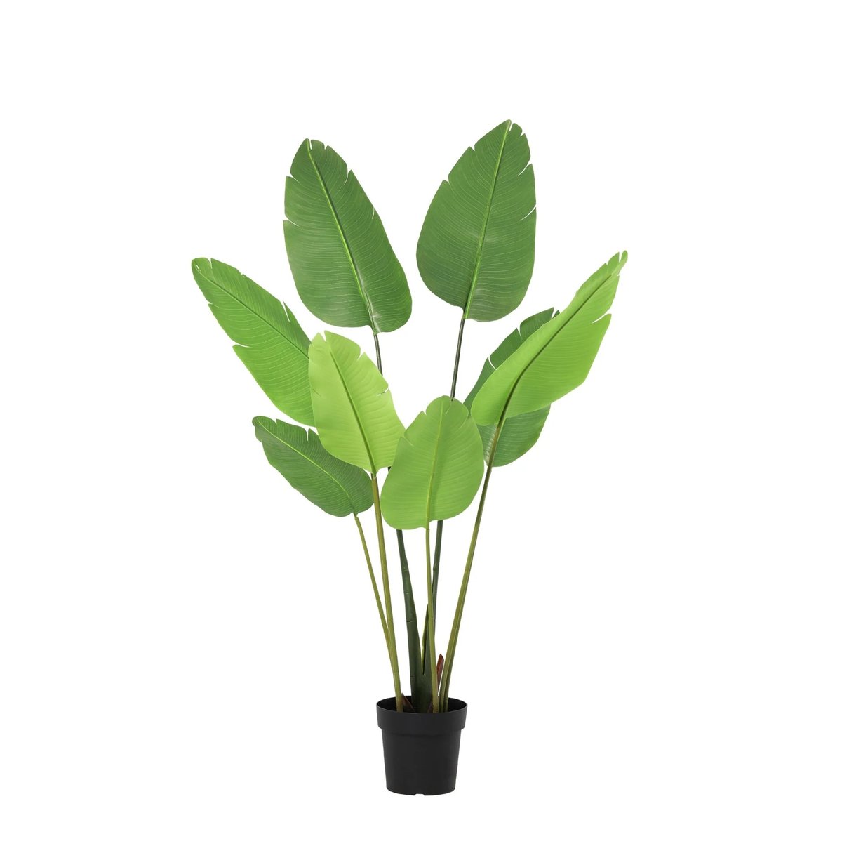 ARTIFICIAL Strelitzia Nicolai