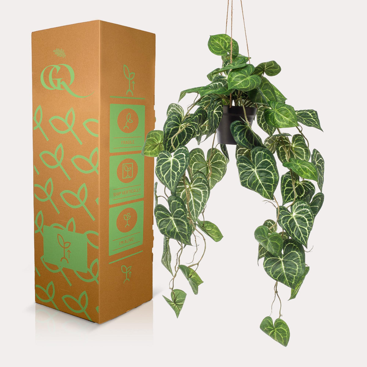 Kunstpflanze - Anthurium Clarinervium