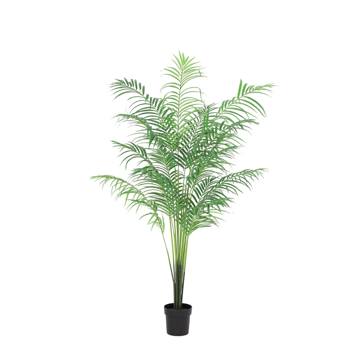 ARTIFICIAL Kentia palm