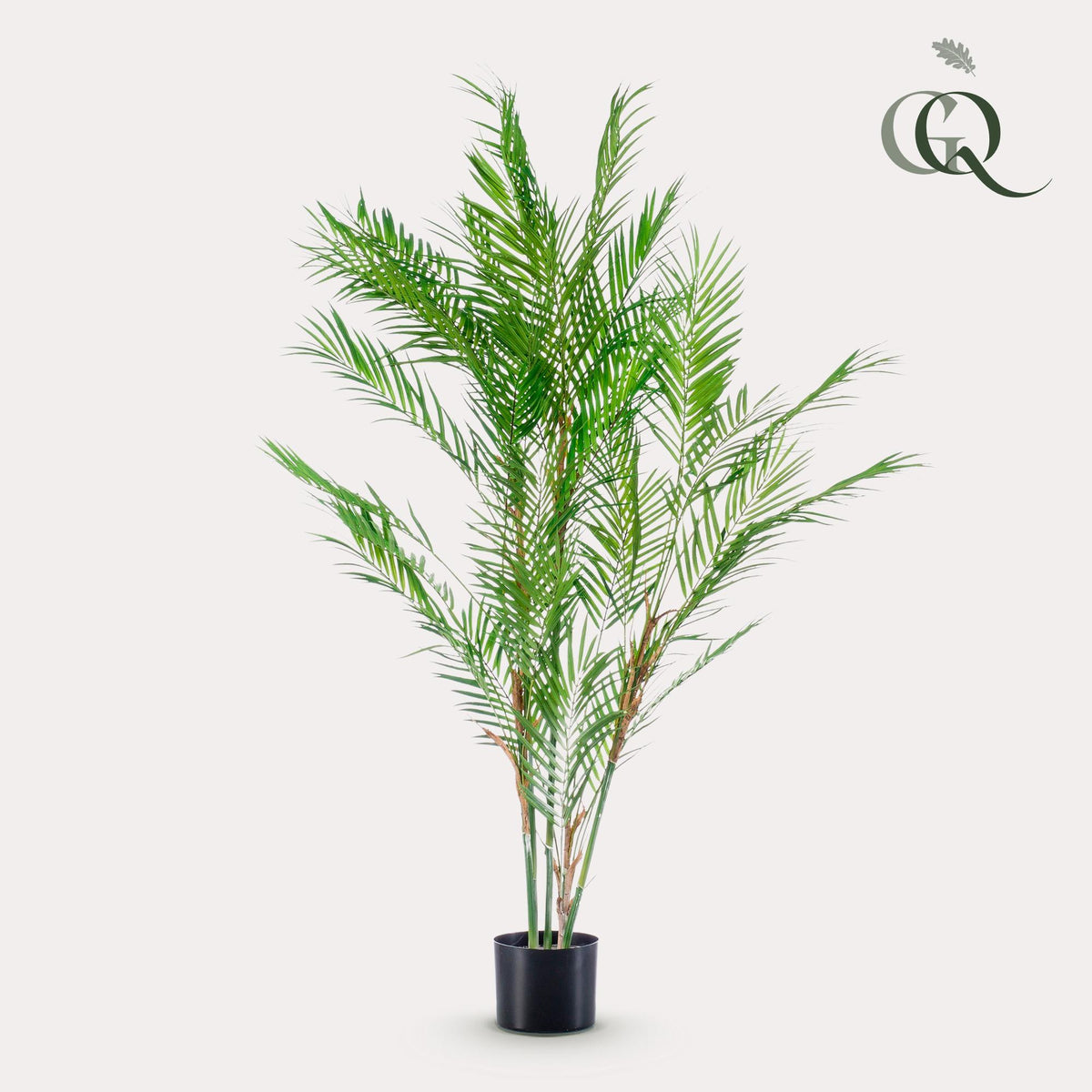 Kunstpflanze - Chamaedorea Elegans - Bergpalme