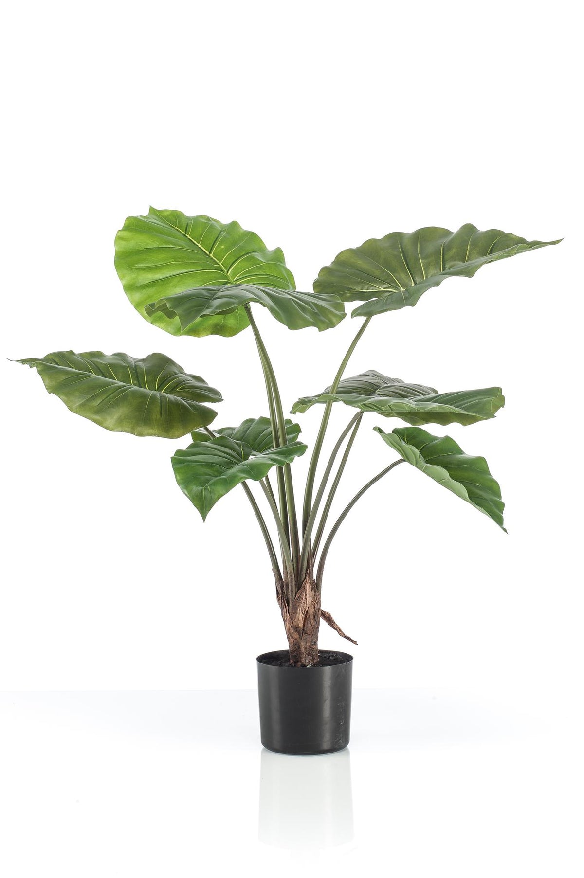 Kunstpflanze - Alocasia