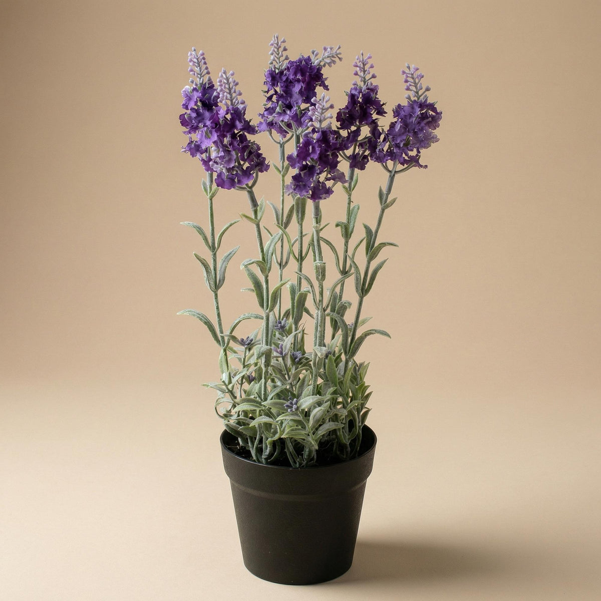 1x Künstlicher Lavendel - violette Pflanze im Topf - Kunstpflanze