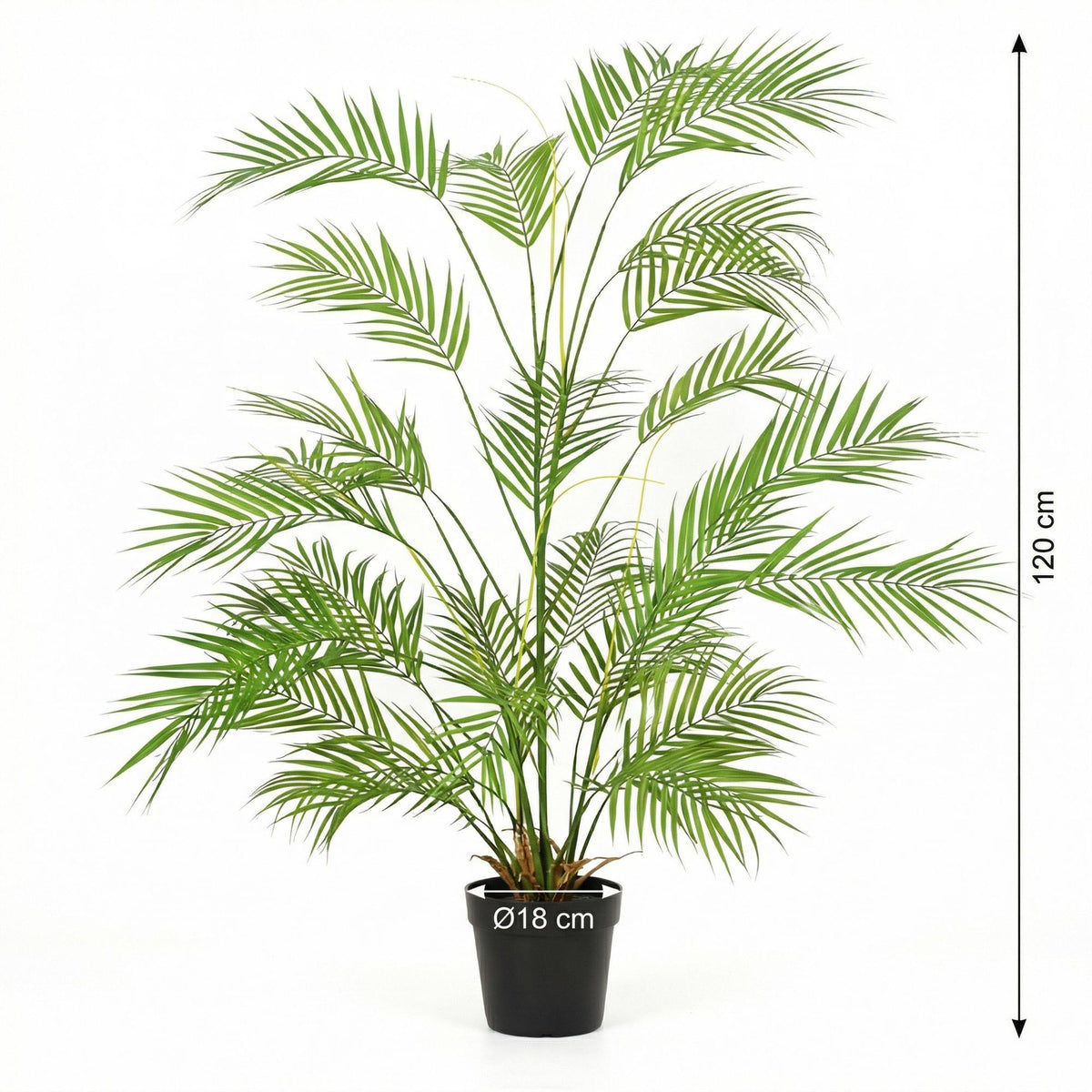 ARTIFICIAL Areca