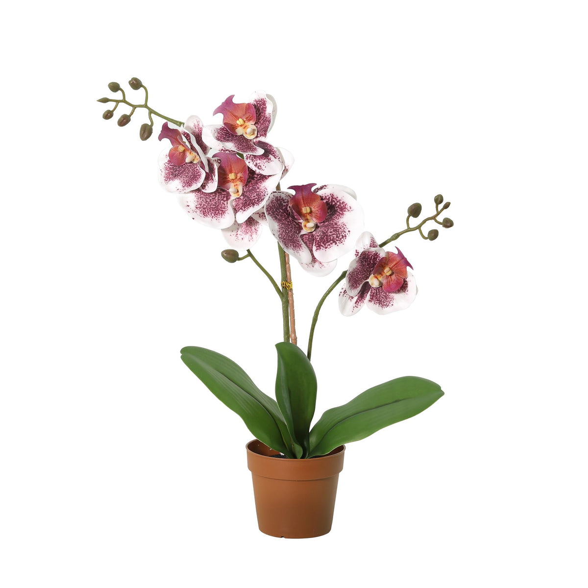 ARTIFICIAL Phalaenopsis orchid violet white
