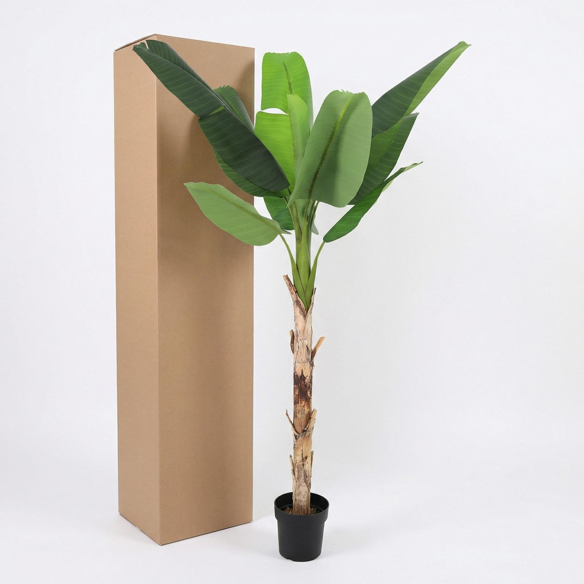 ARTIFICIAL Banana plant Musa