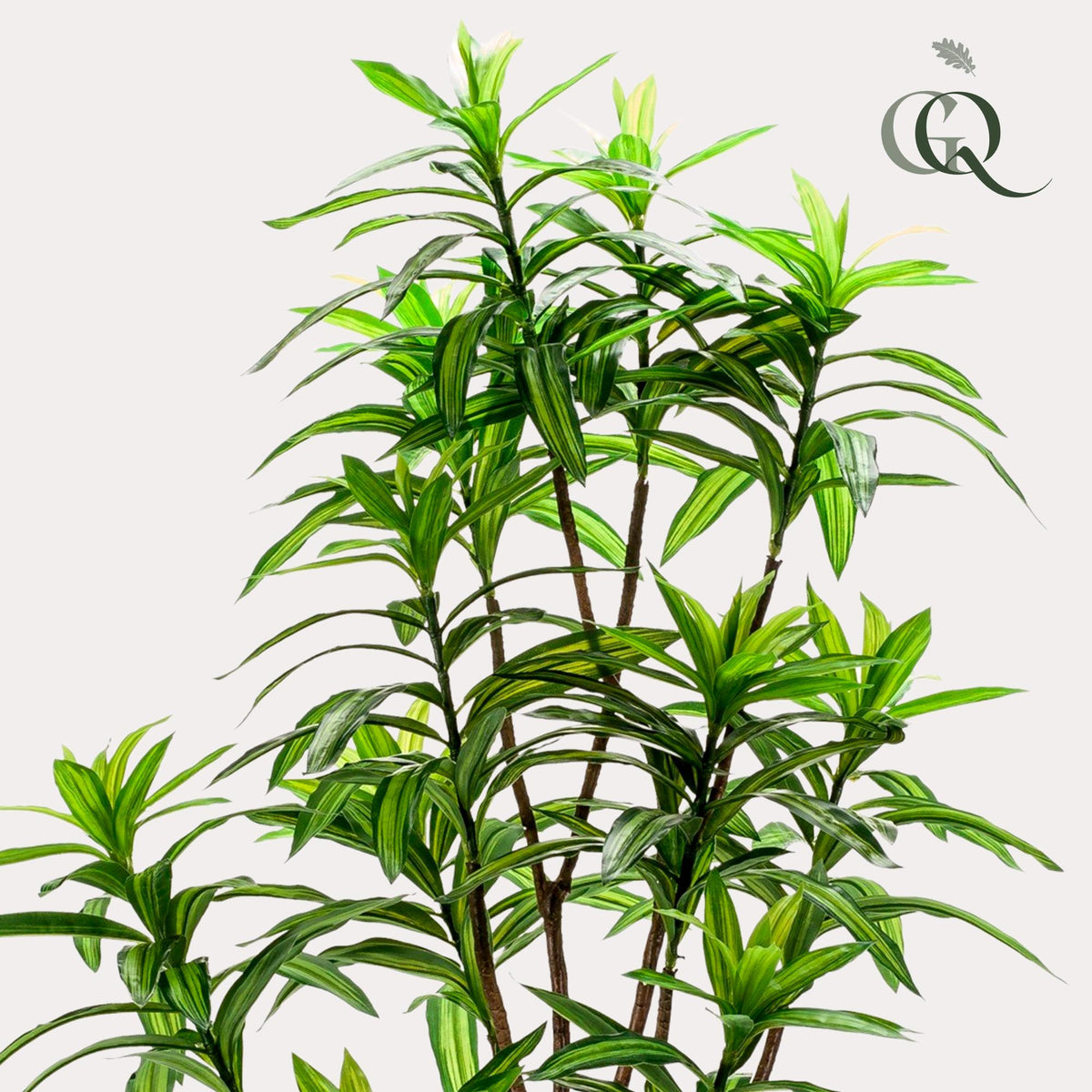 Kunstpflanze - Dracaena - Drachenbaum