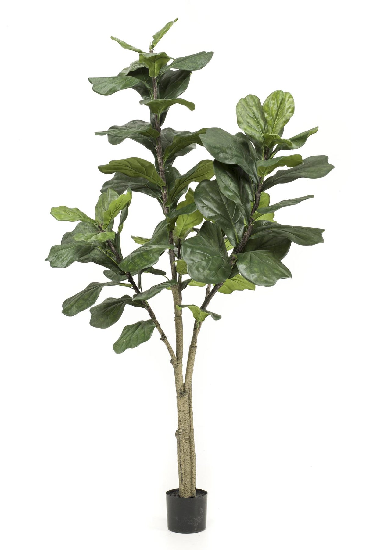 Kunstpflanze - Ficus Lyrata - Tabakspflanze
