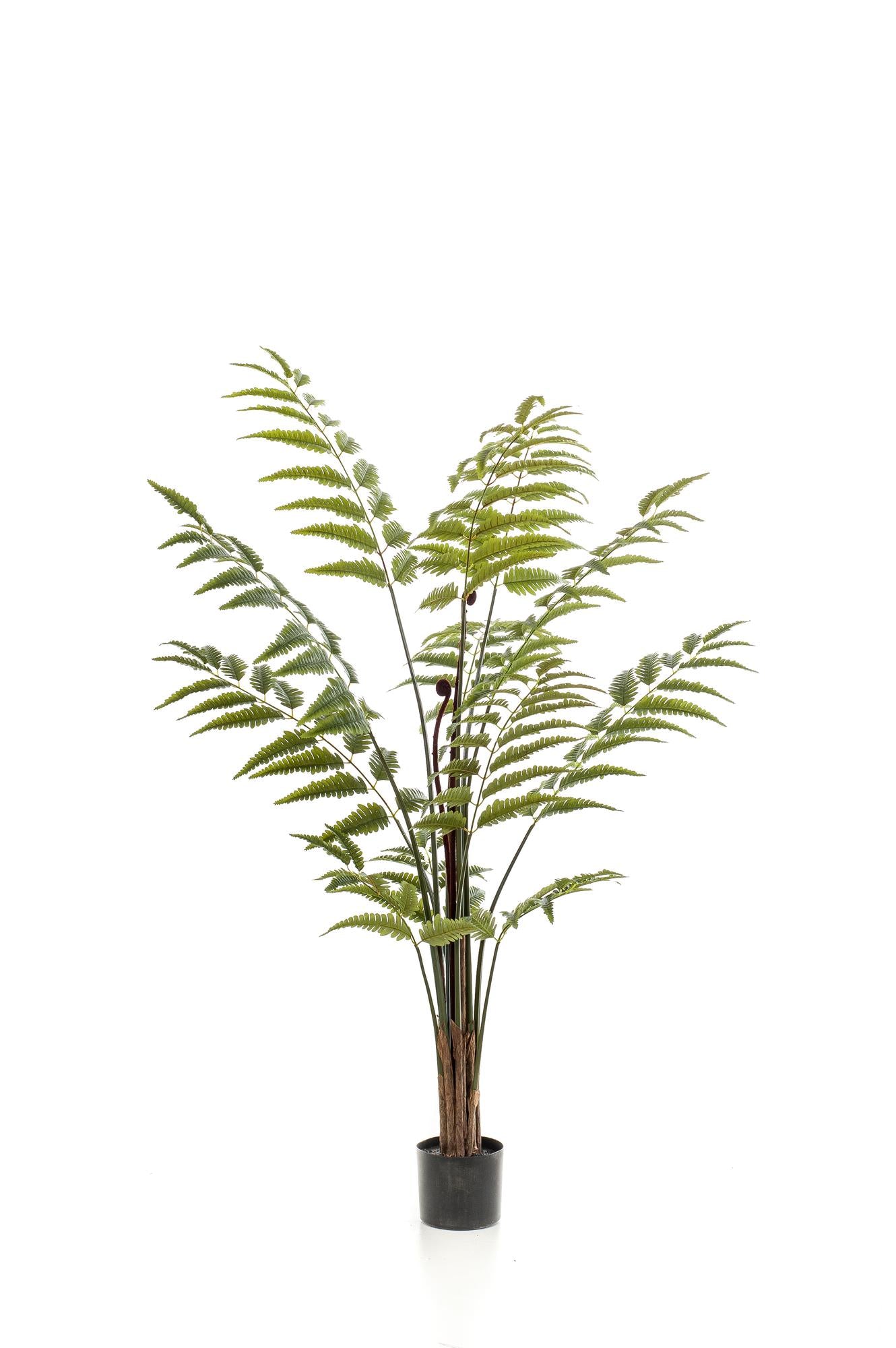 Kunstpflanze – Rumohra adiantiformis – Lederfarn – 150 cm