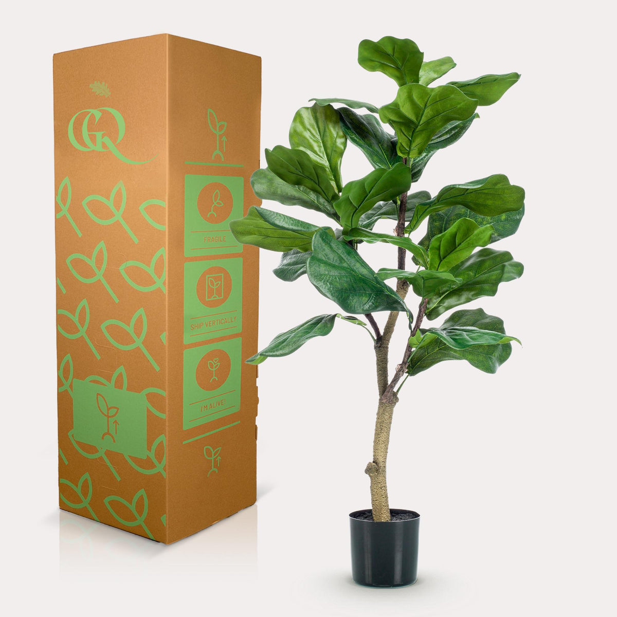 Kunstpflanze - Ficus Lyrata - Tabakspflanze
