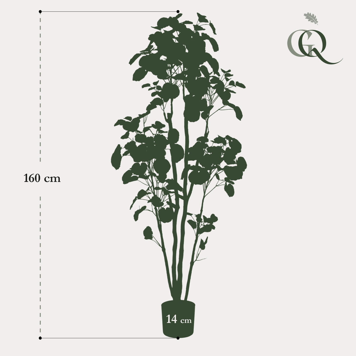 Kunstpflanze - Polyscias - Aralia